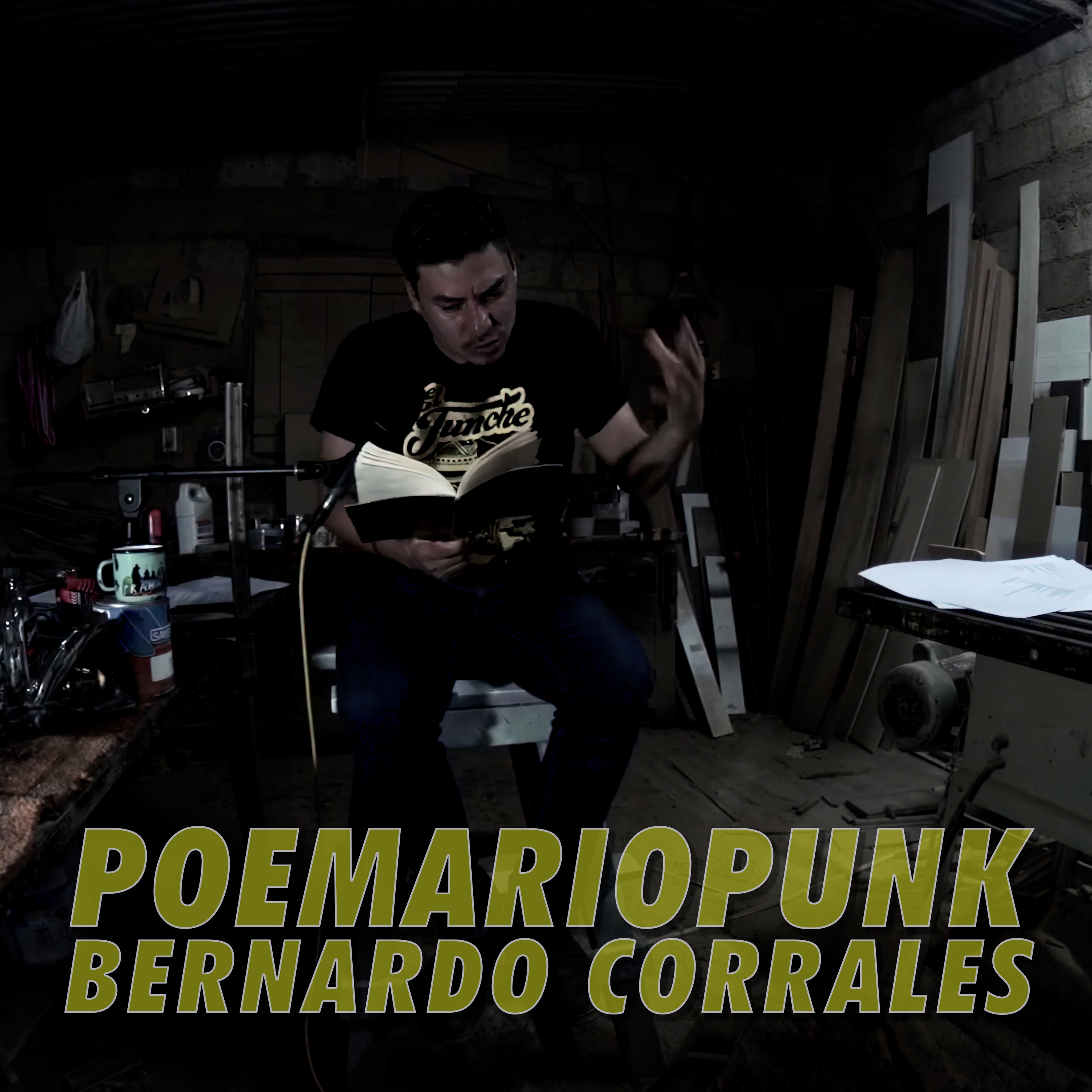 BERNARDO CORRALES, POEMA EN 4 ACTOS, POEMARIO PUNK. (2020) [VIDEO] episode artwork