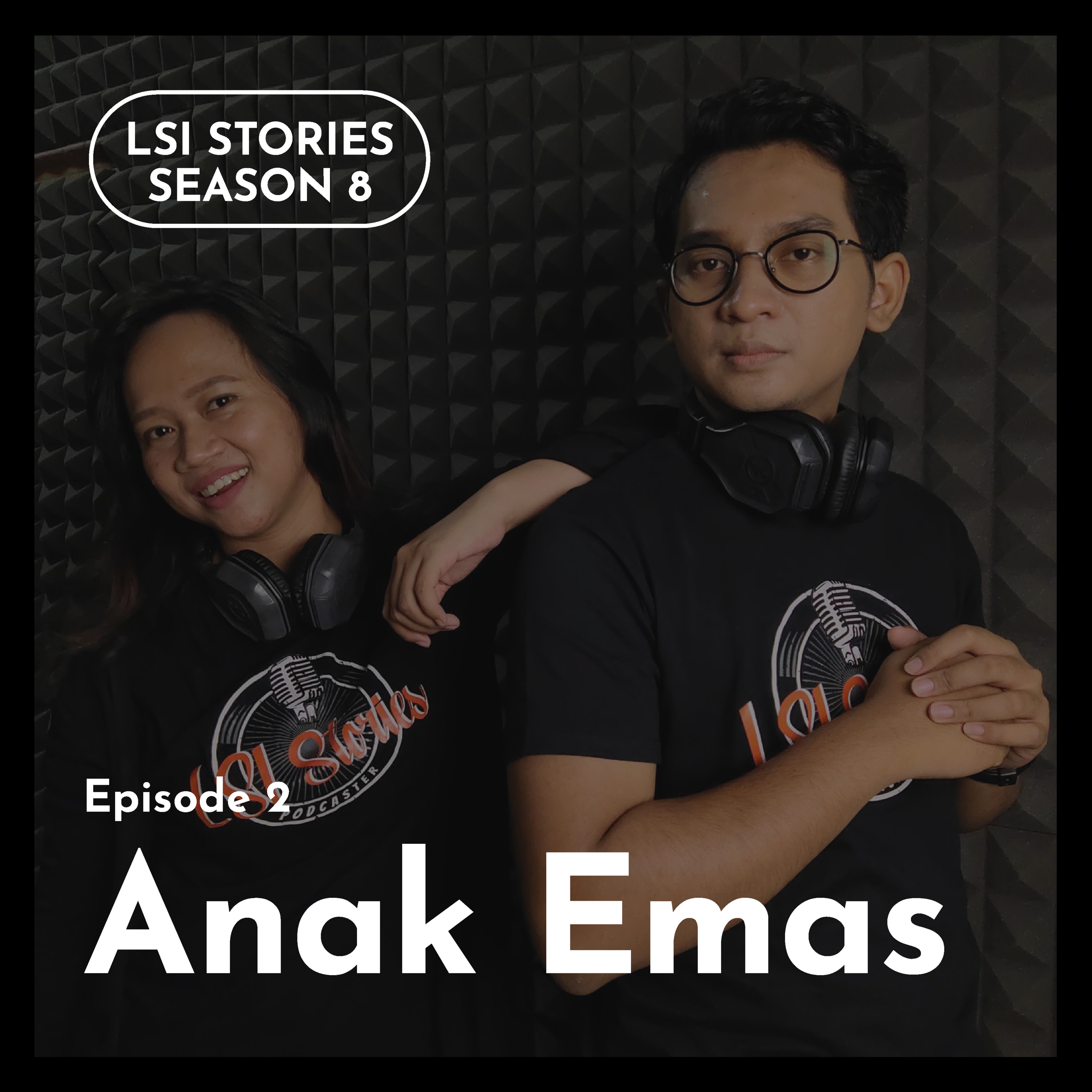 LSI Stories