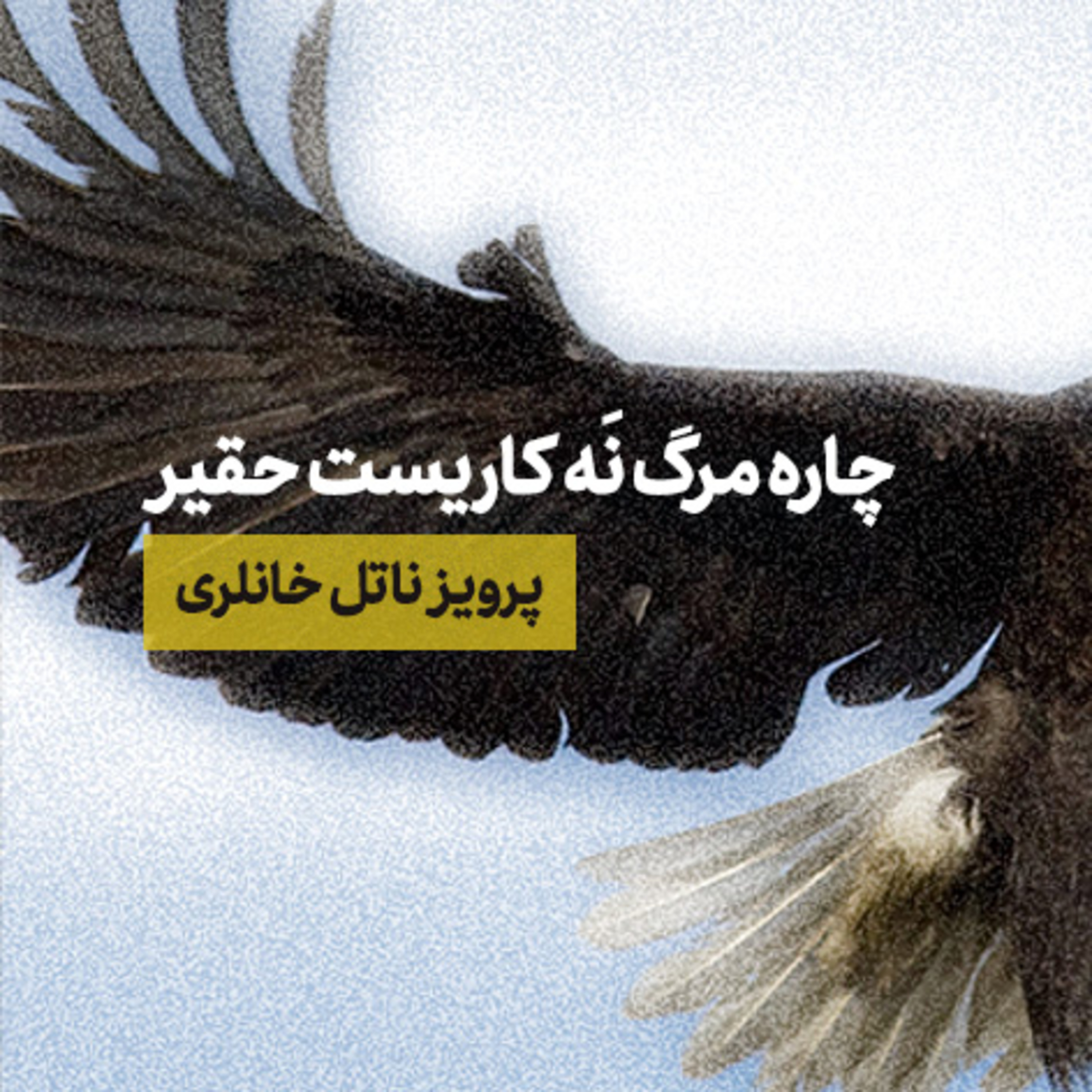 کاور 📜 حکایت عقاب و زاغ