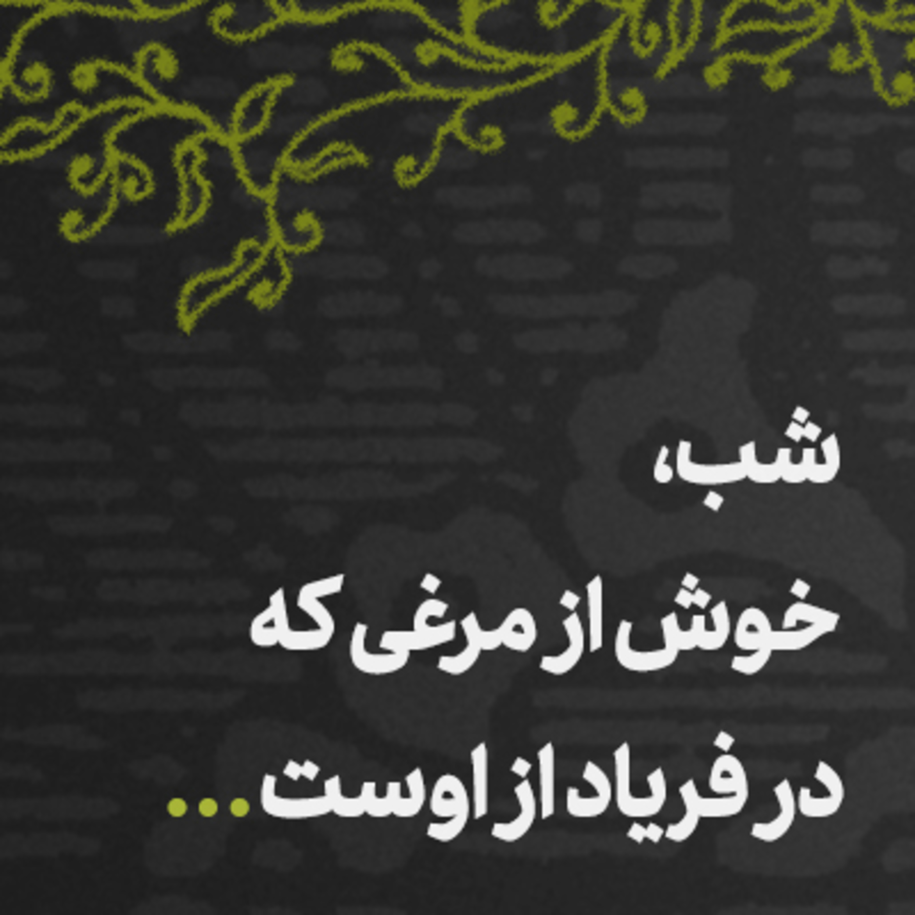 کاور من همان مرغم، نه افزونم نه کم 🌟