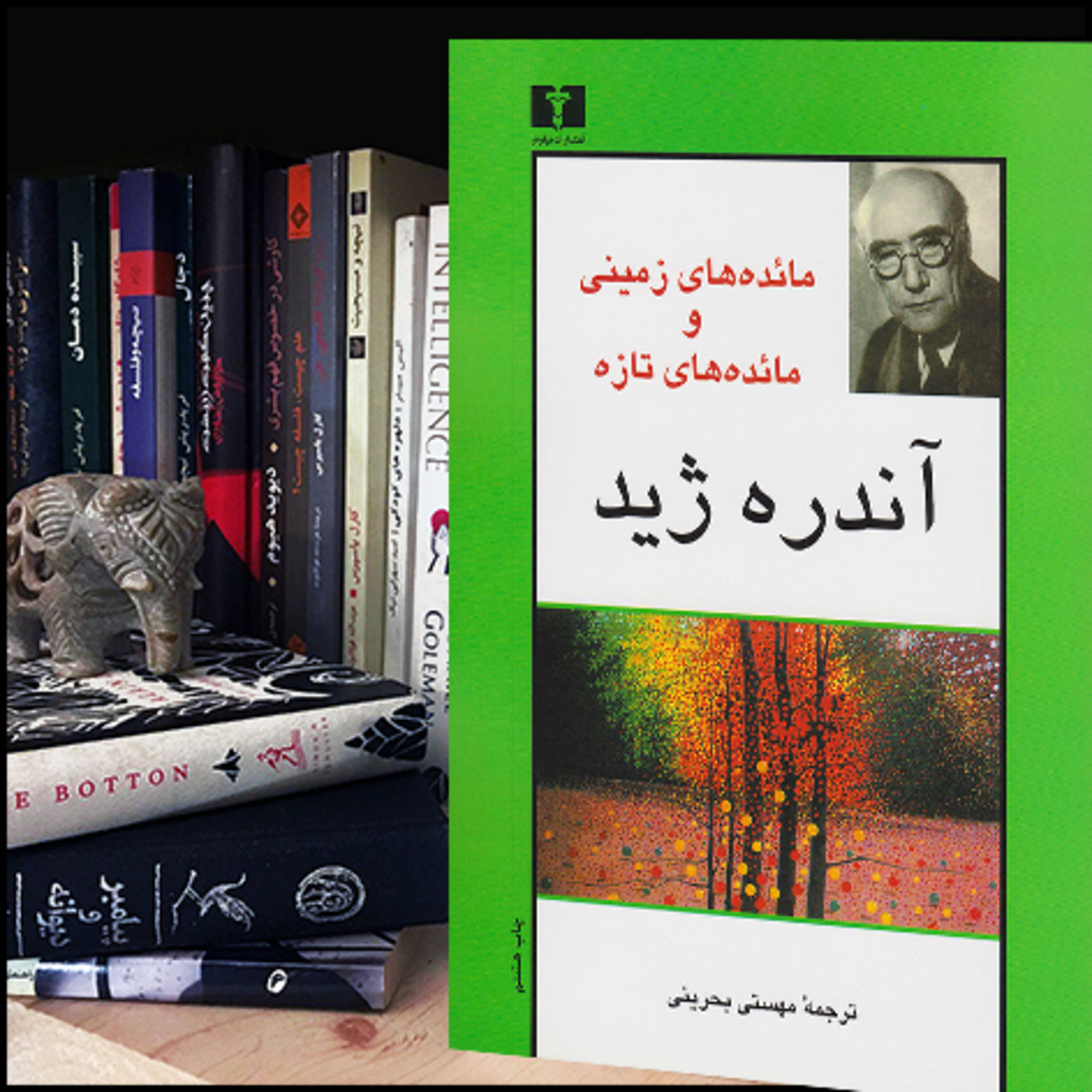 کاور معرفی کتاب : مائدههای زمینی | در ستایش شادکامی | کتاب دوم | قسمت آخر 📖