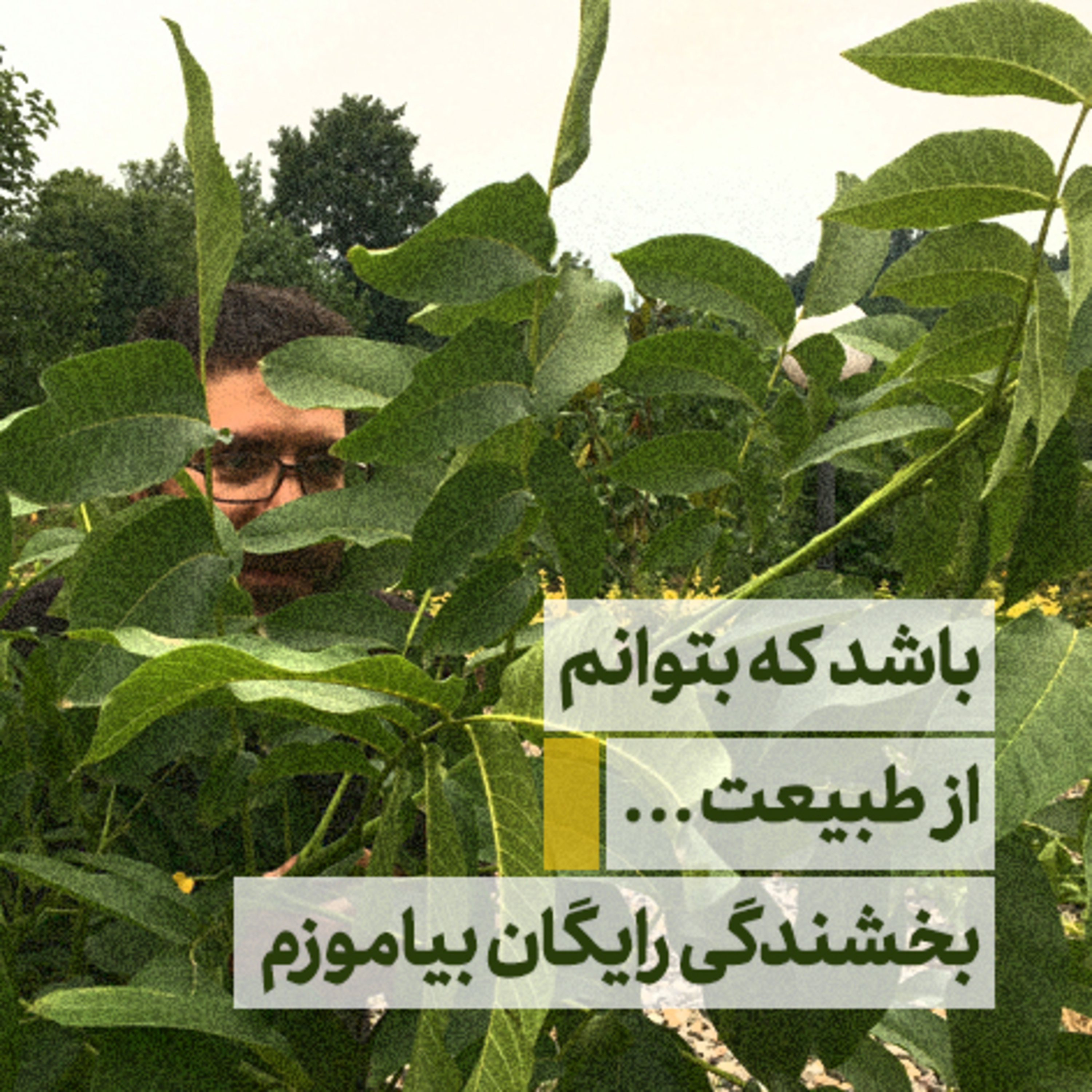 🤲مناجات‌نامه بخشایش ✍️ episode artwork
