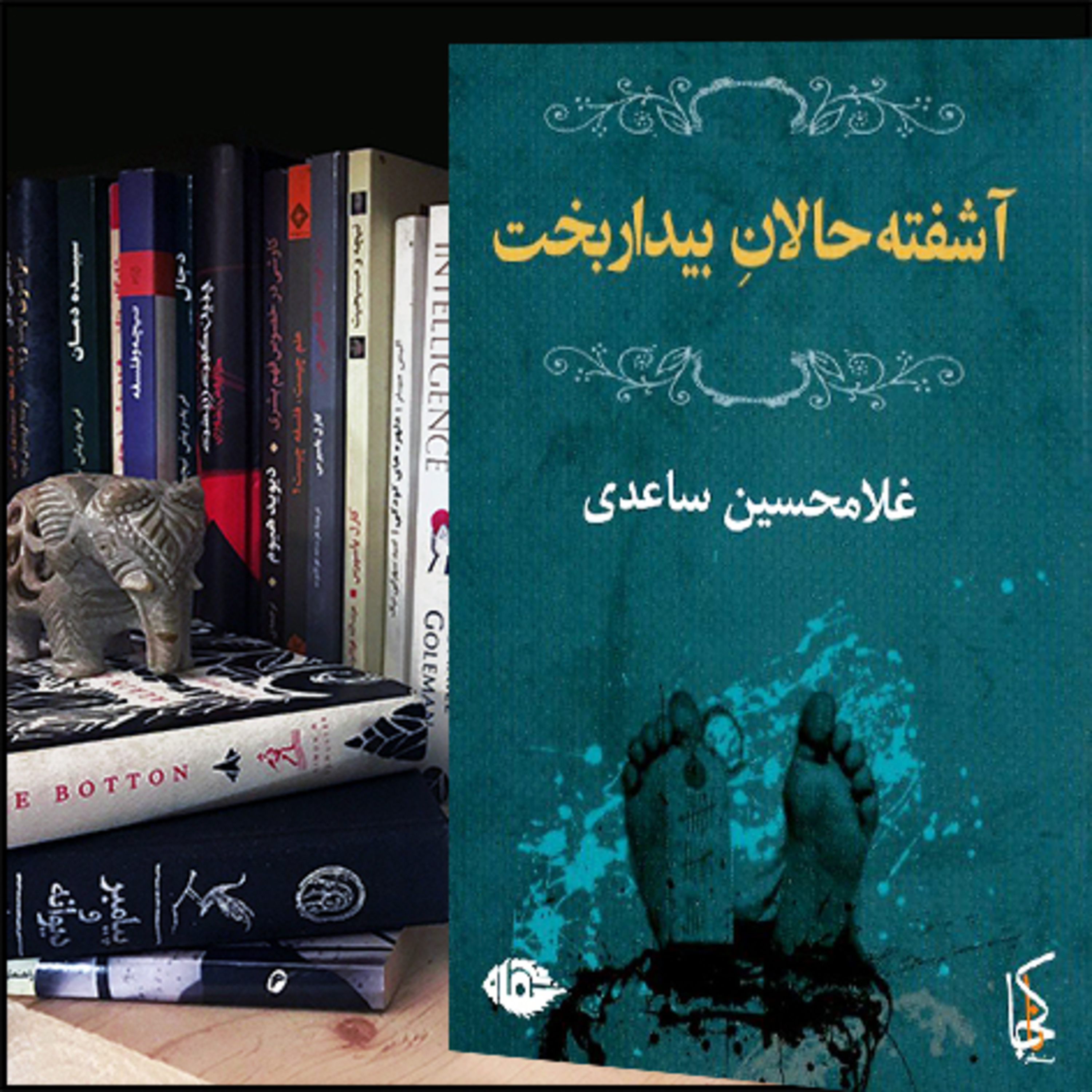 کاور معرفی کتاب : آشفته‌حالانِ بیداربخت 📖