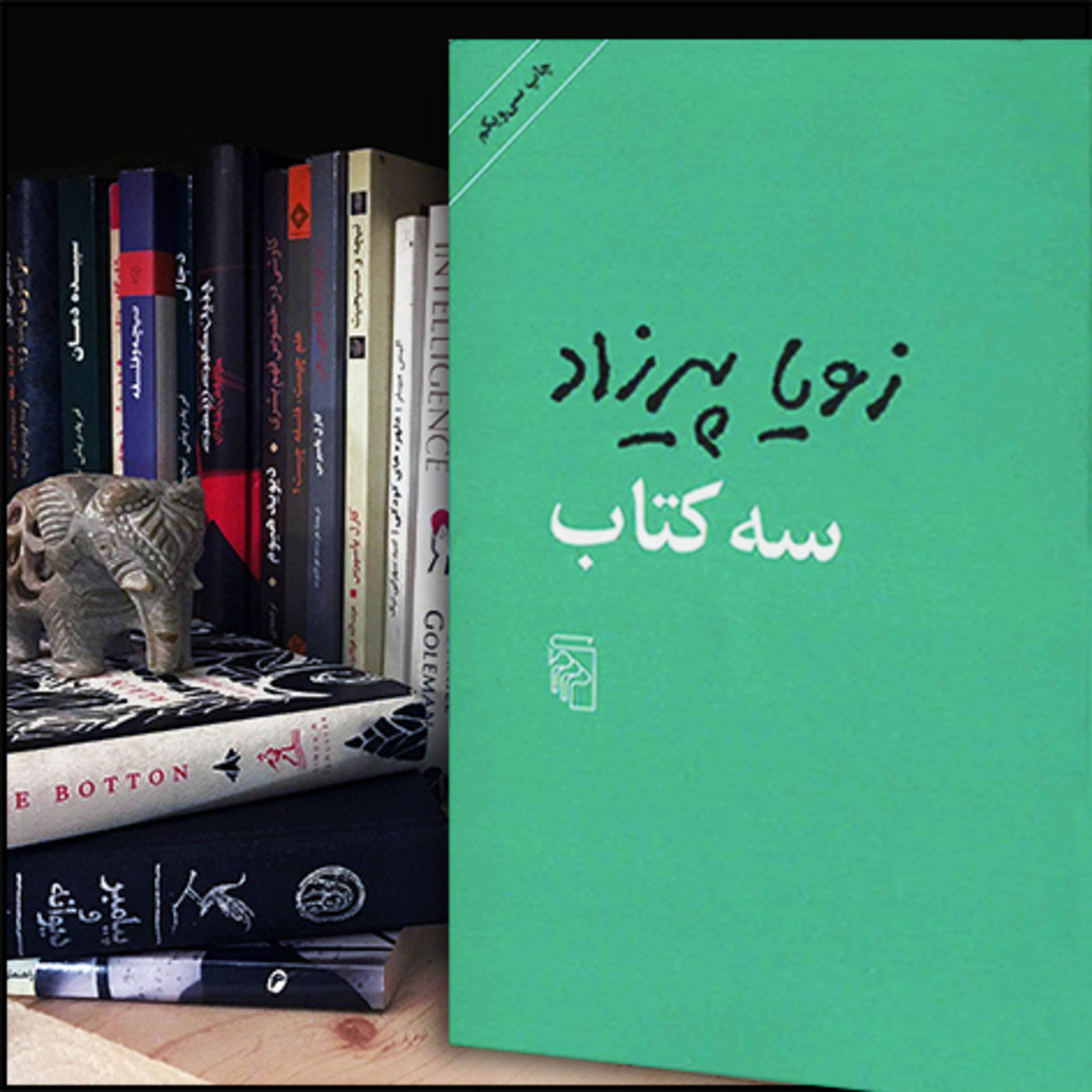کاور قصهای طعم گس خرمالو 📚