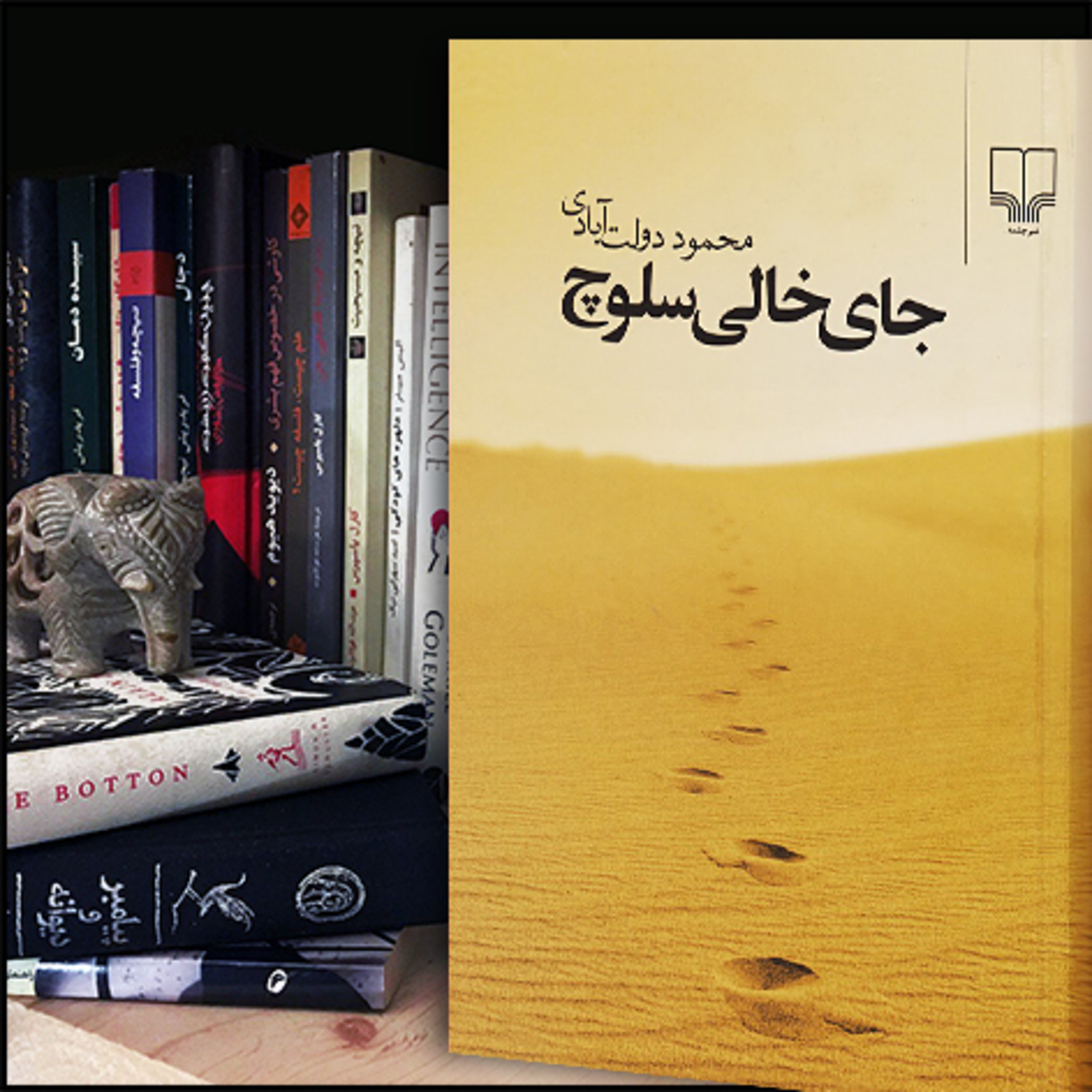 کاور معرفی کتاب : جای خالی سلوچ 📖