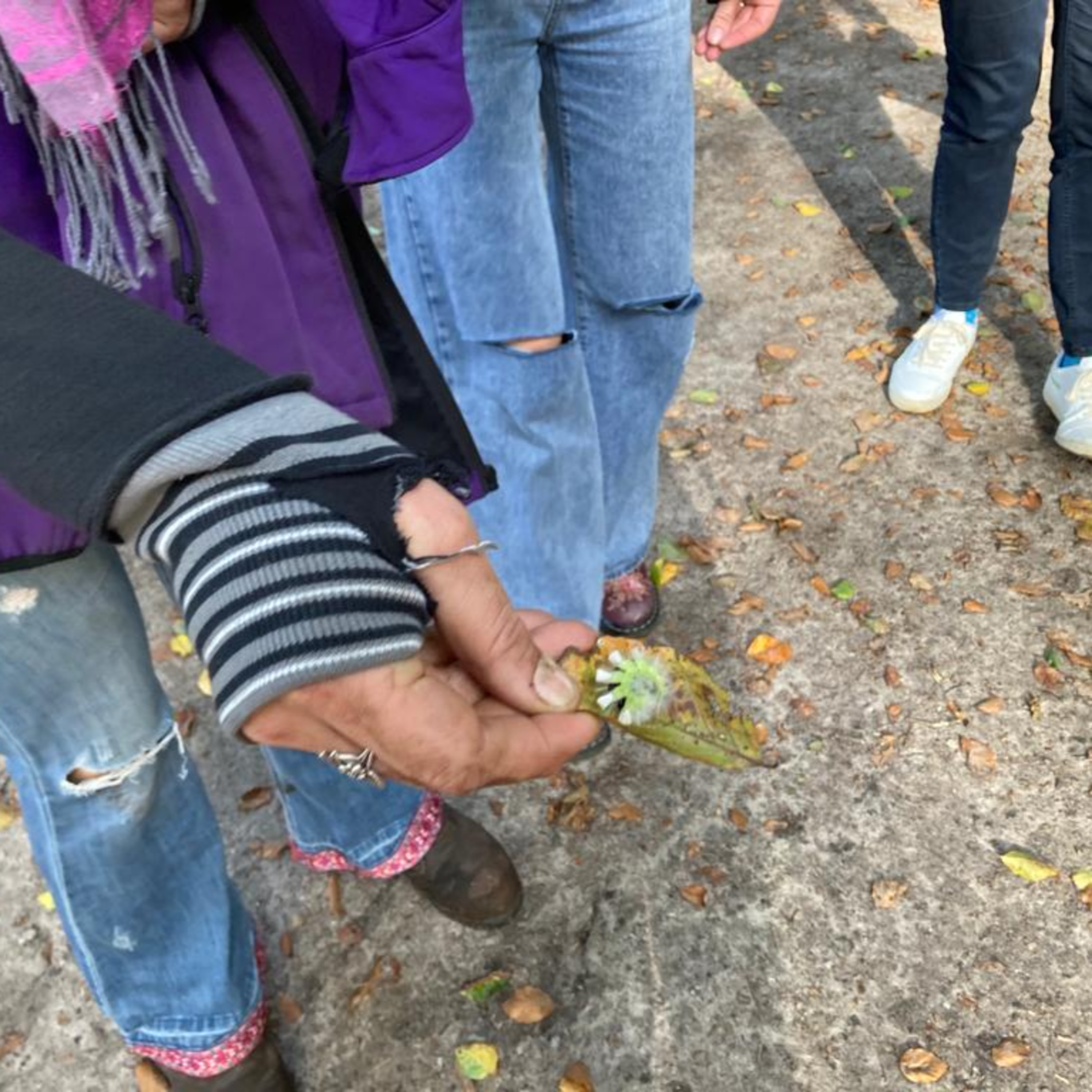 Nederlands Centrum Jeugdgezondheid (NCJ)