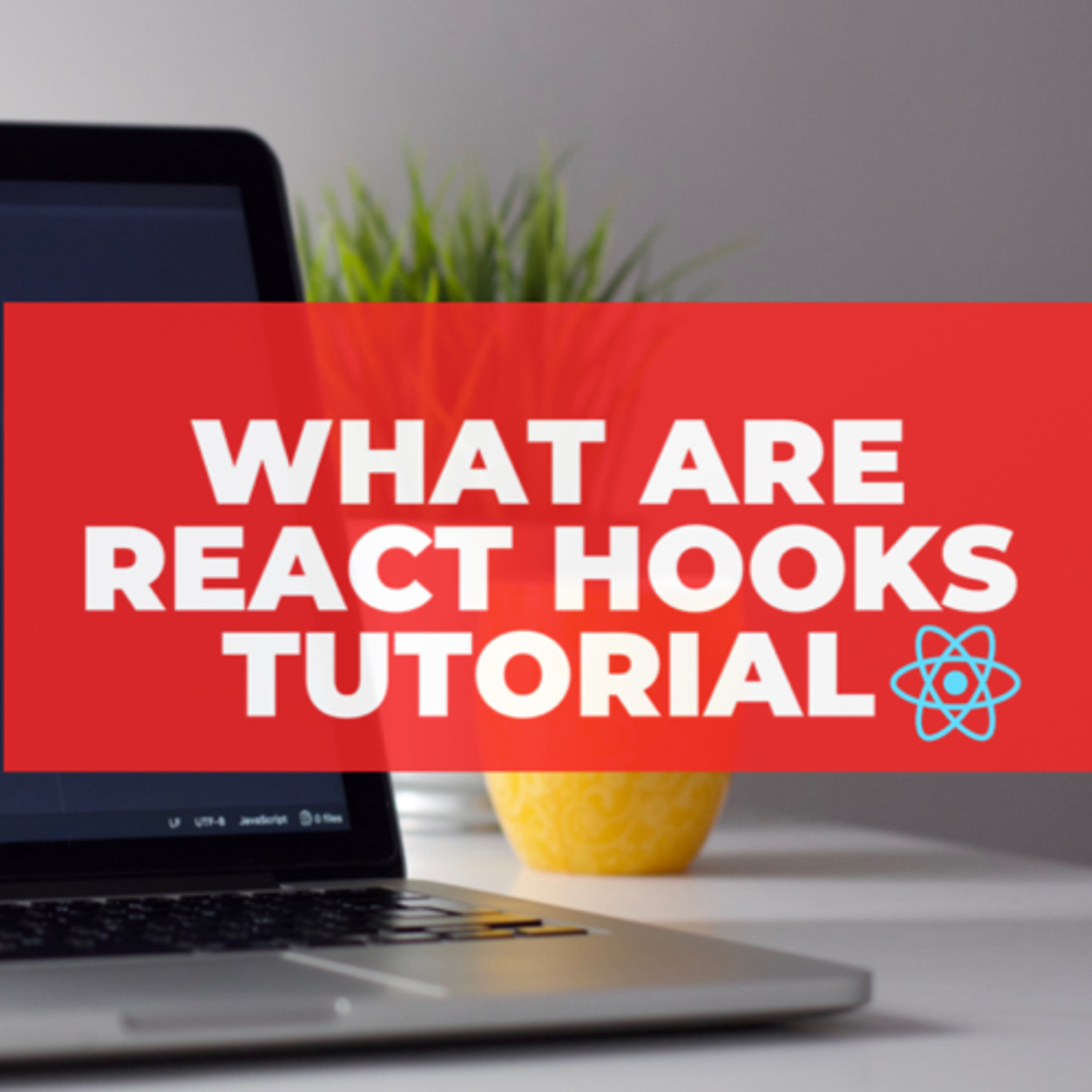 What are React Hooks | React Hook basics | MLittleProgramming AudioExperience  episode artwork