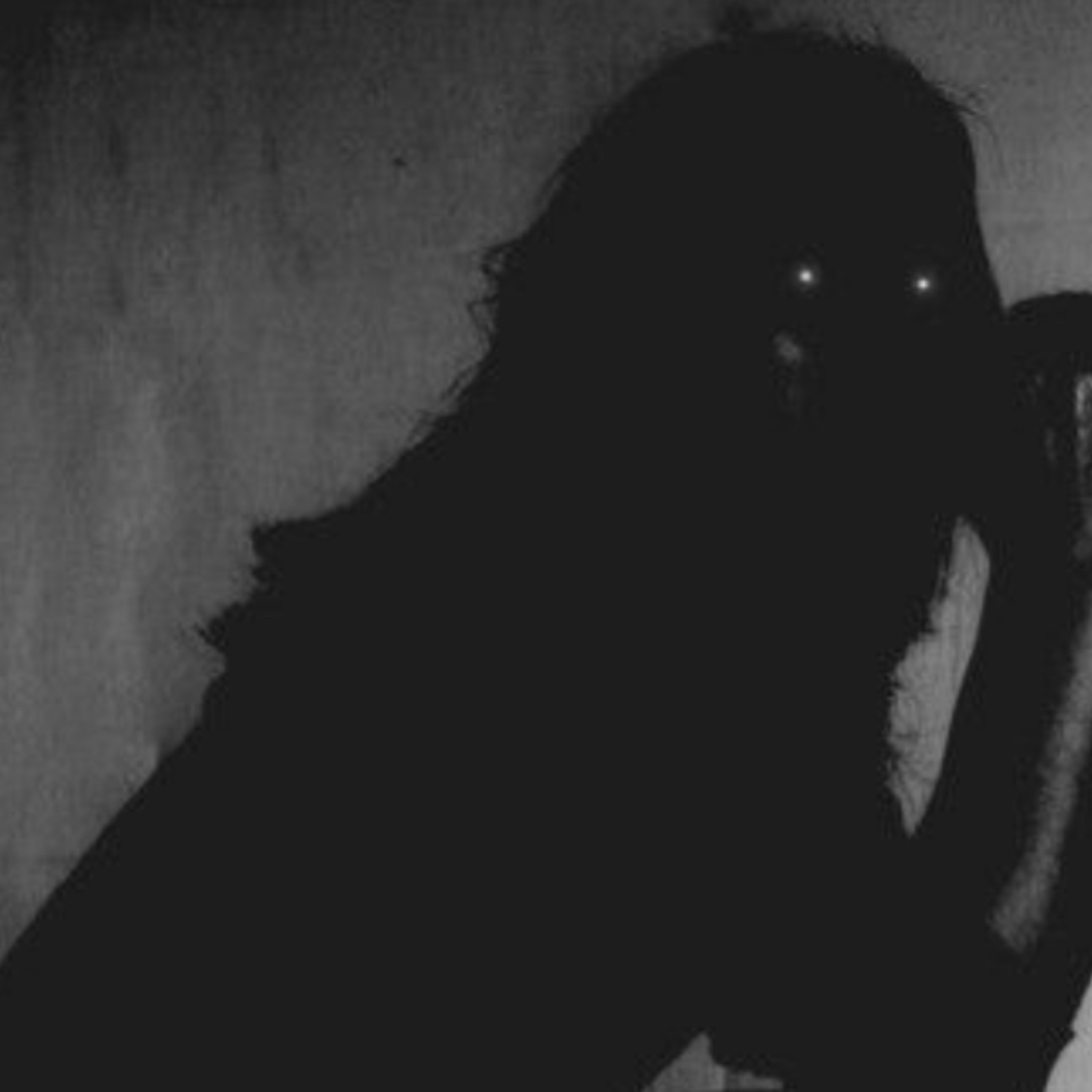 DEMONS OR SPIRITS