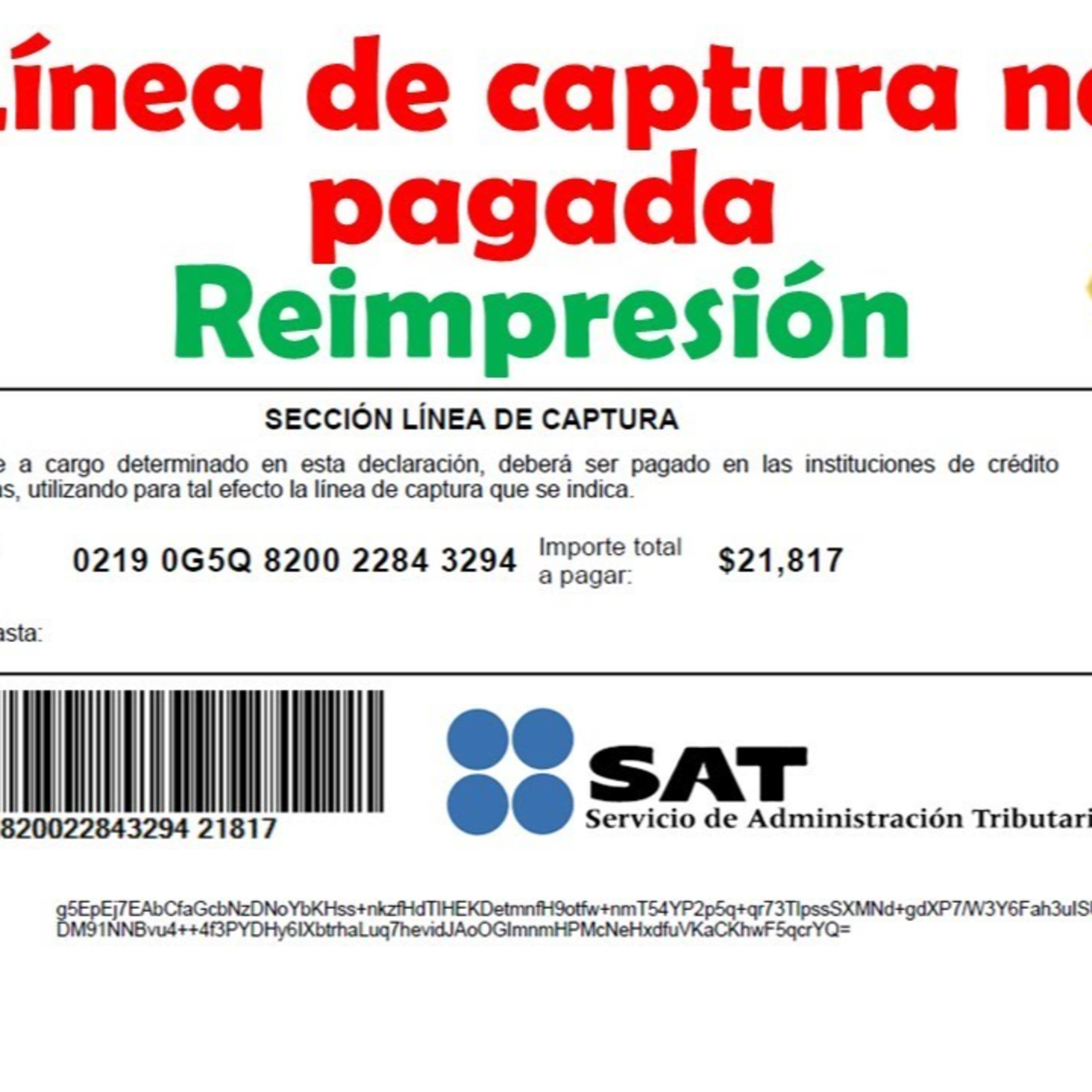 El Conta Trejo
