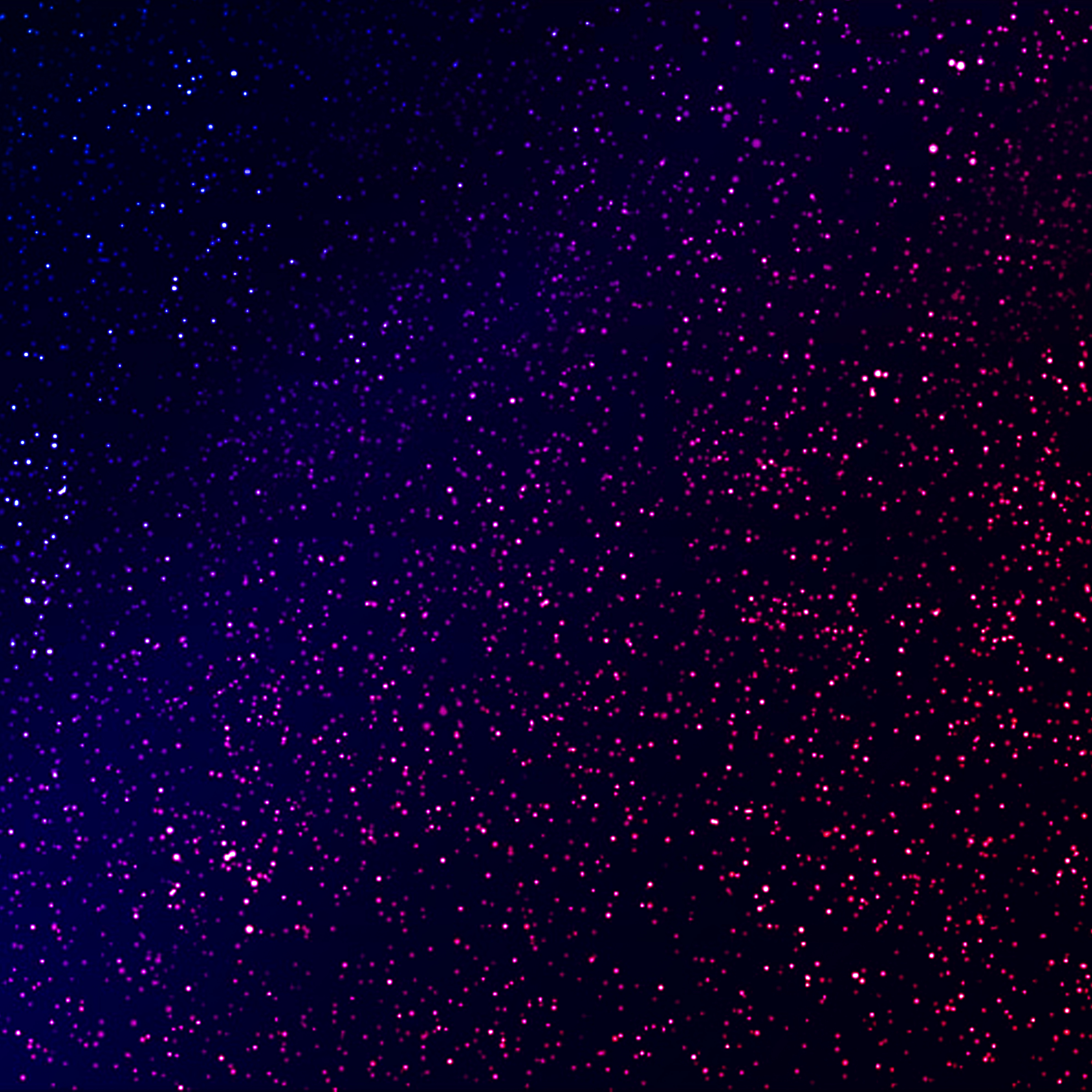 Who Are You episode artwork