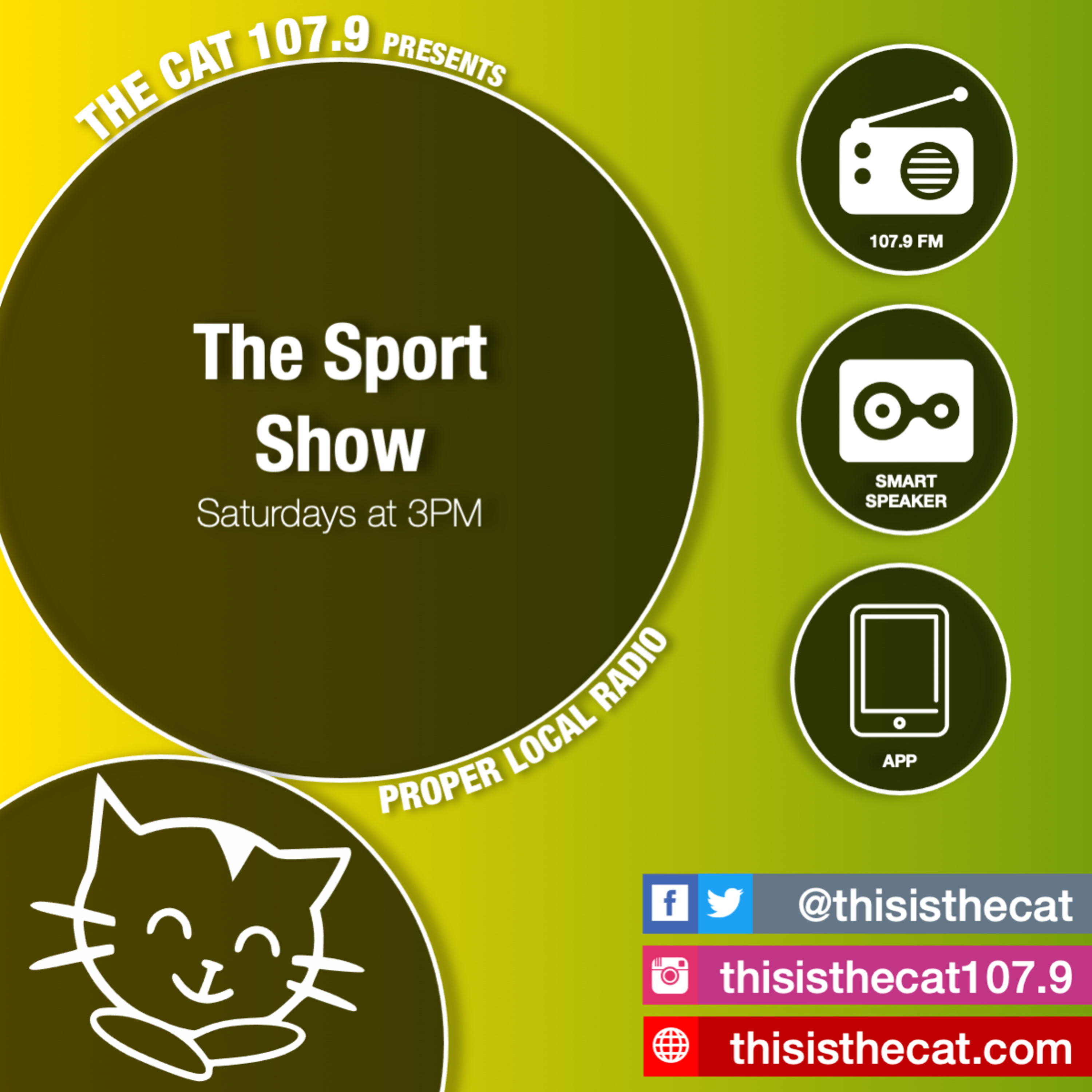 The Cat