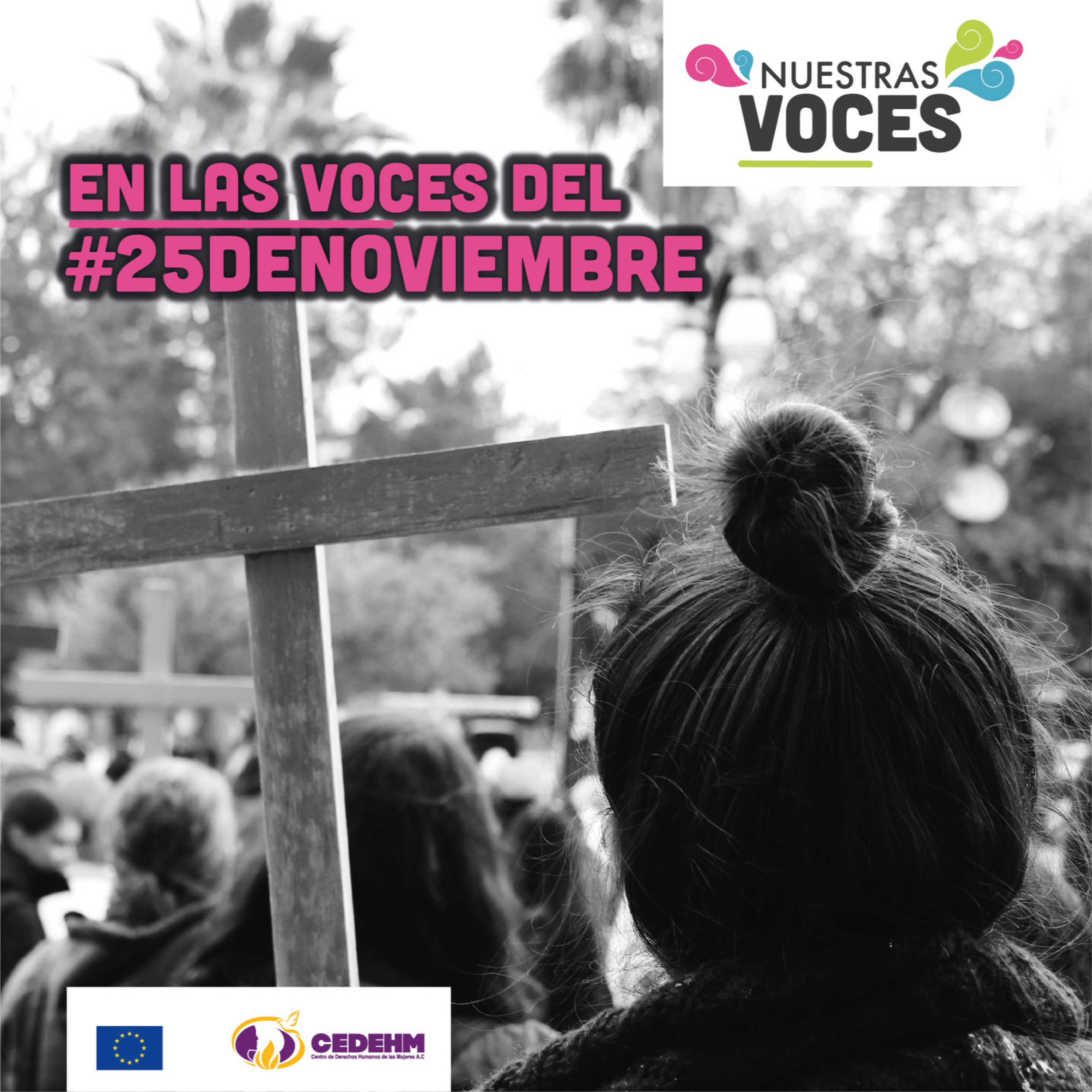 Nuestras Voces