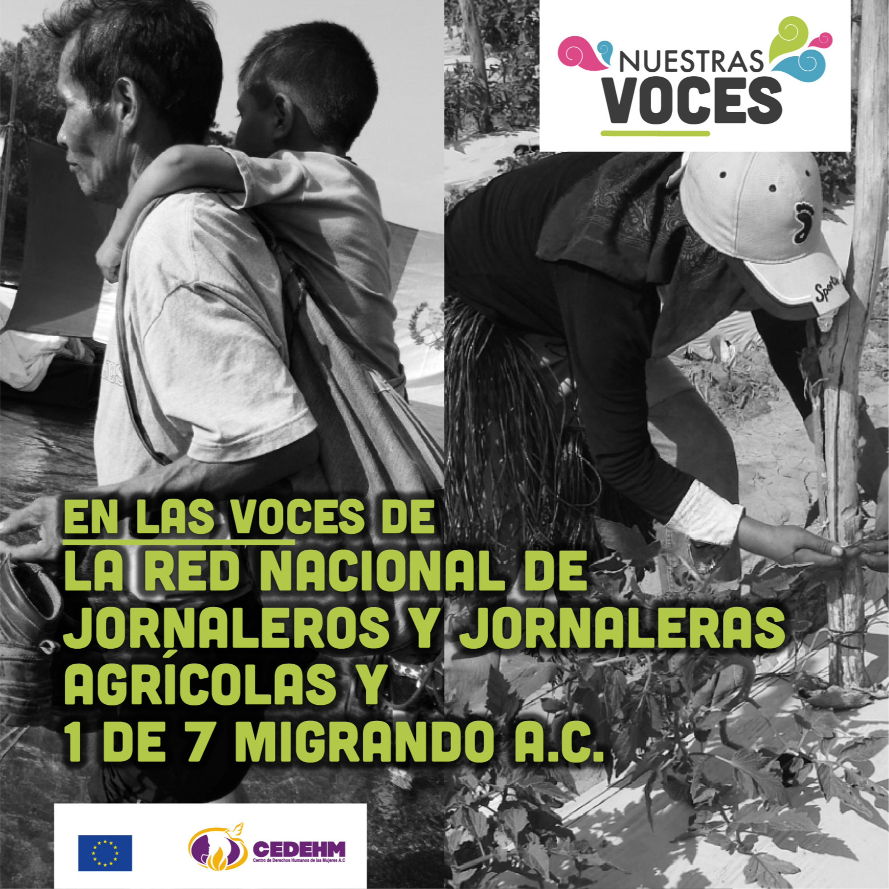 Nuestras Voces