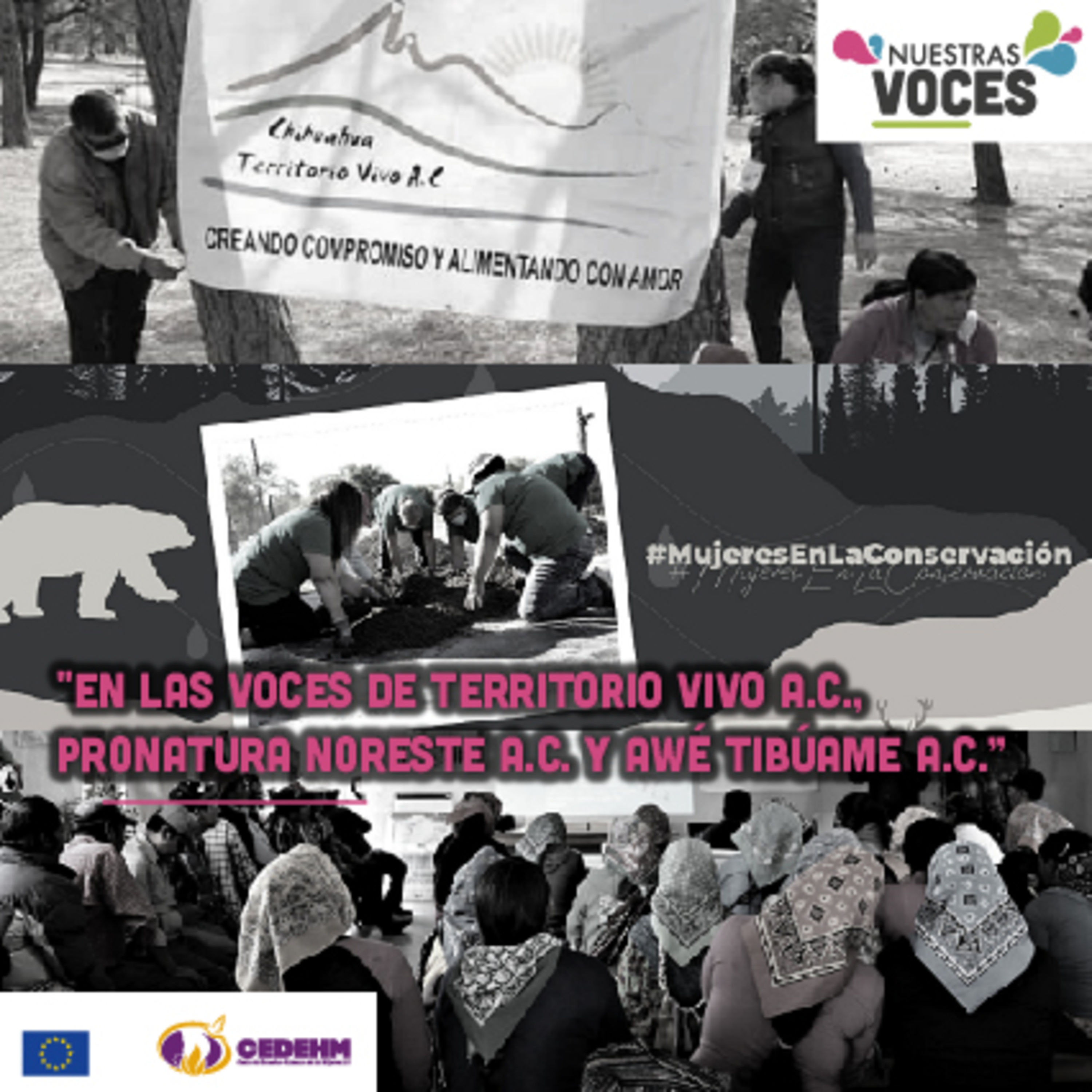 Nuestras Voces