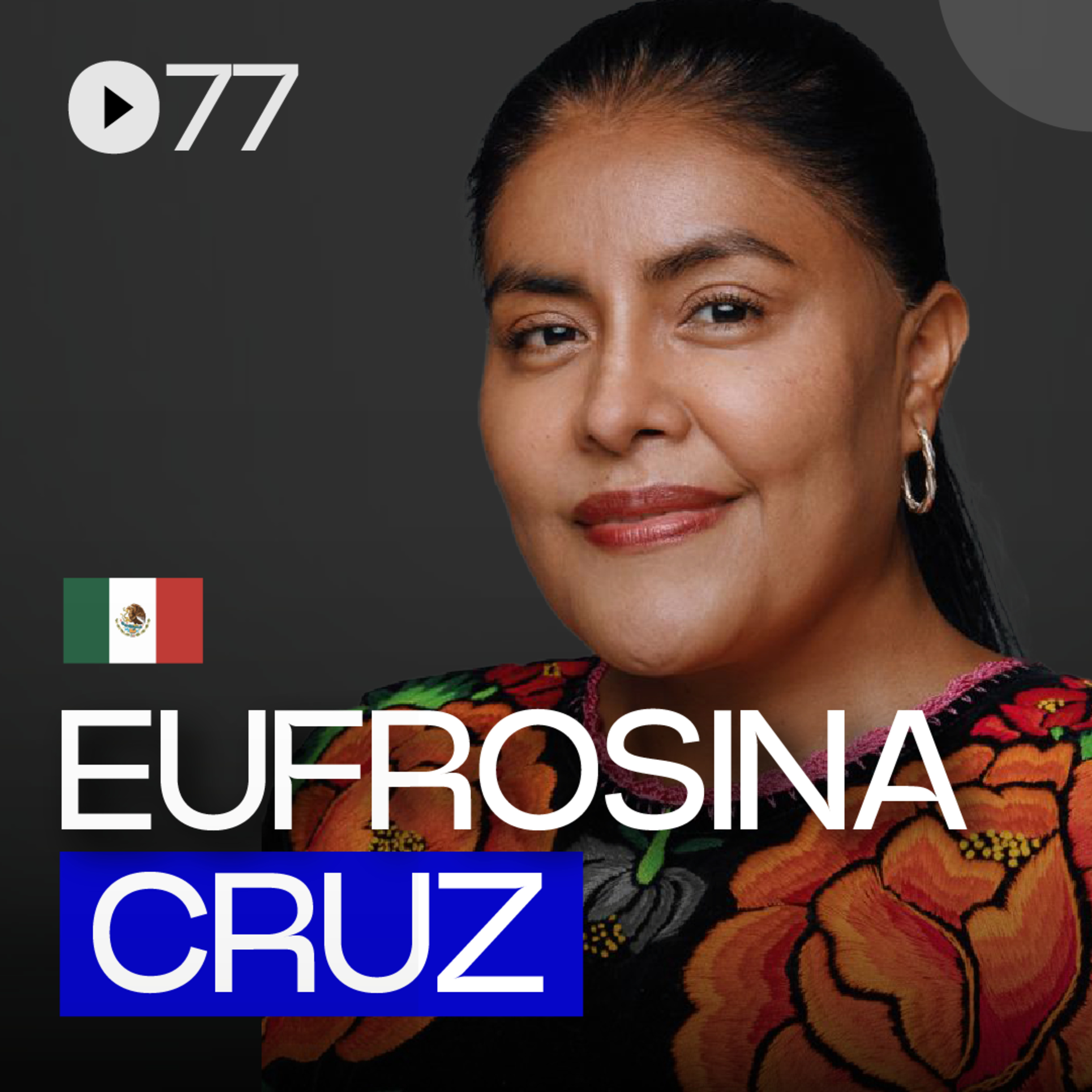 Proyecto 77
