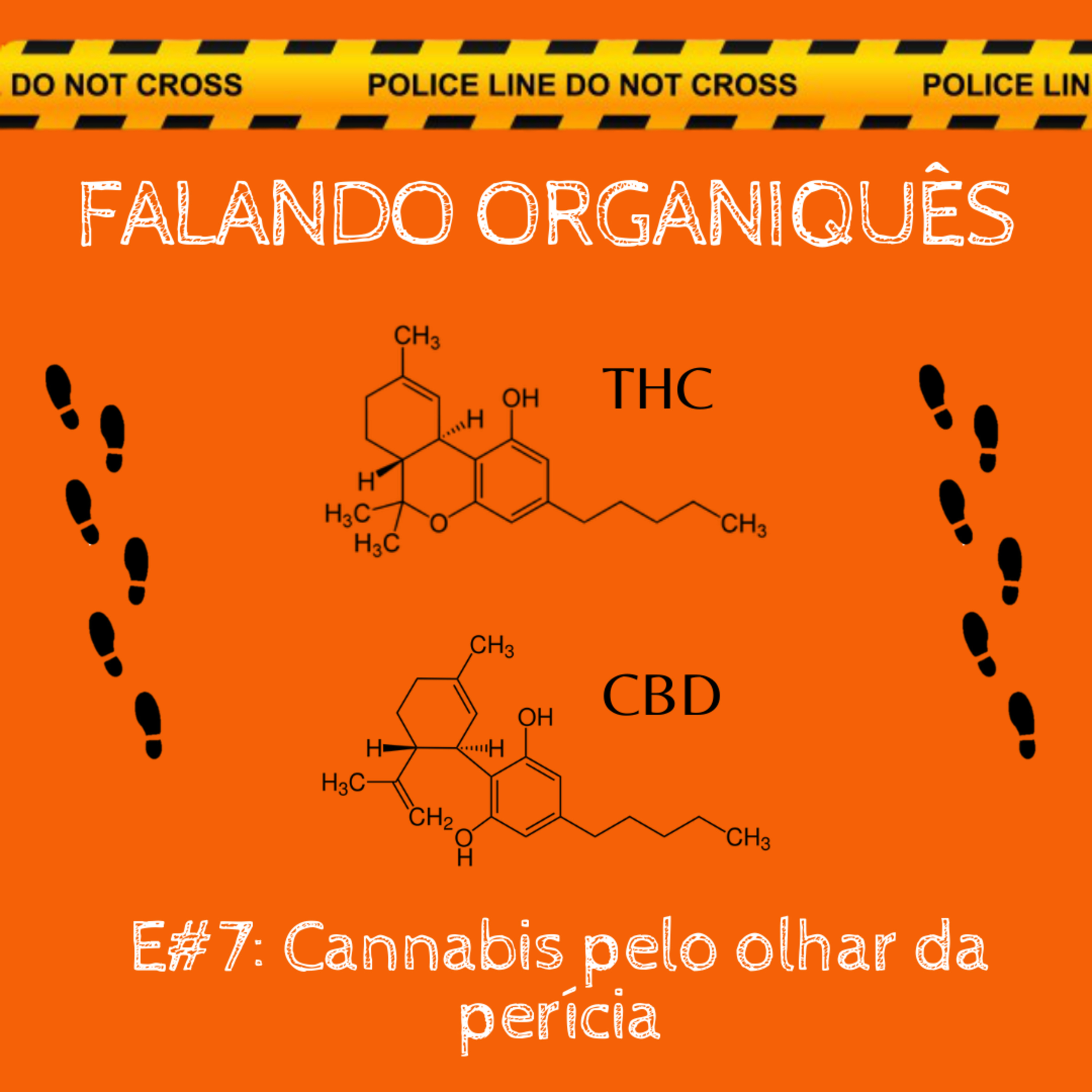 Falando Organiquês