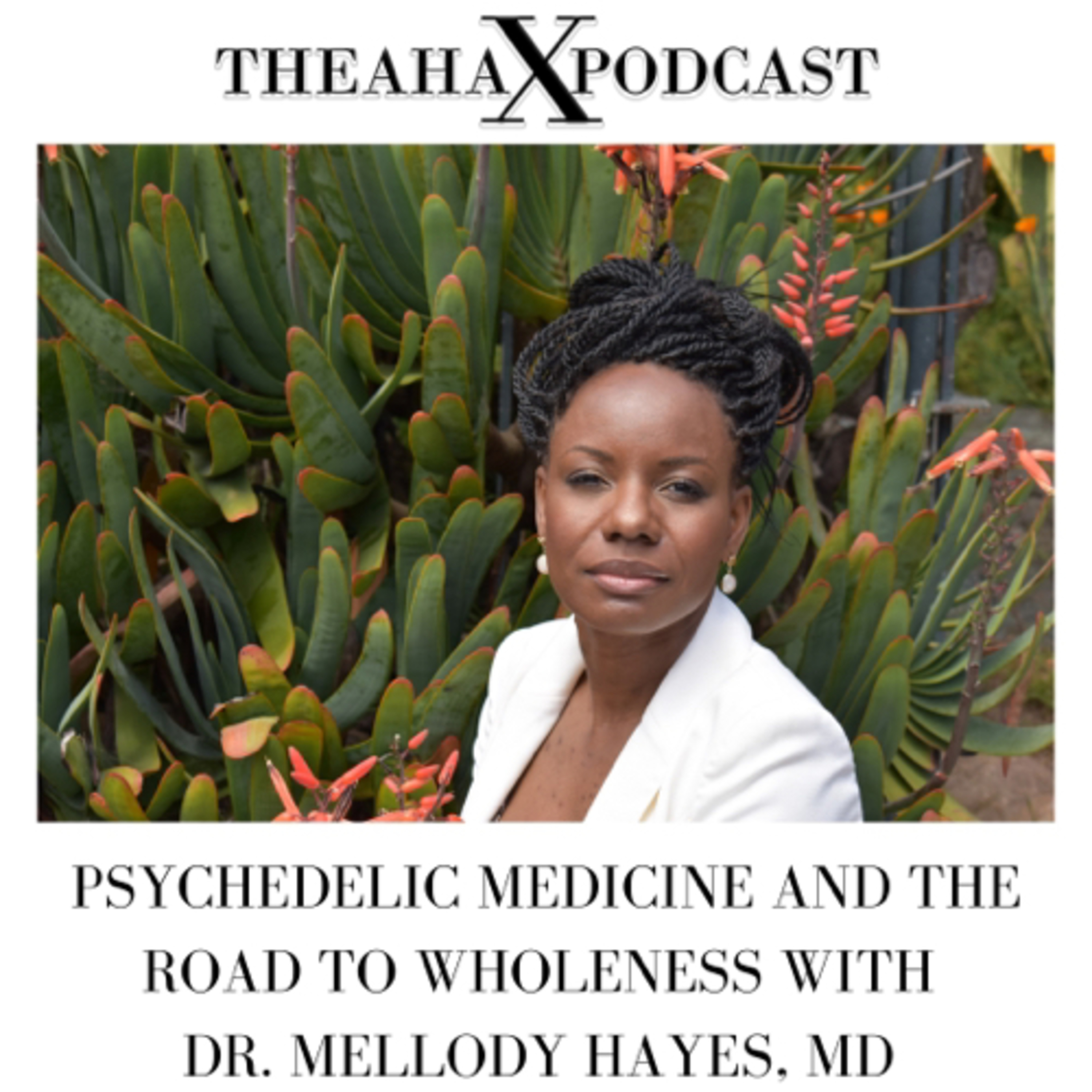 Psychedelic Medicine and The Road to Wholeness with Dr. Mellody Hayes episode artwork