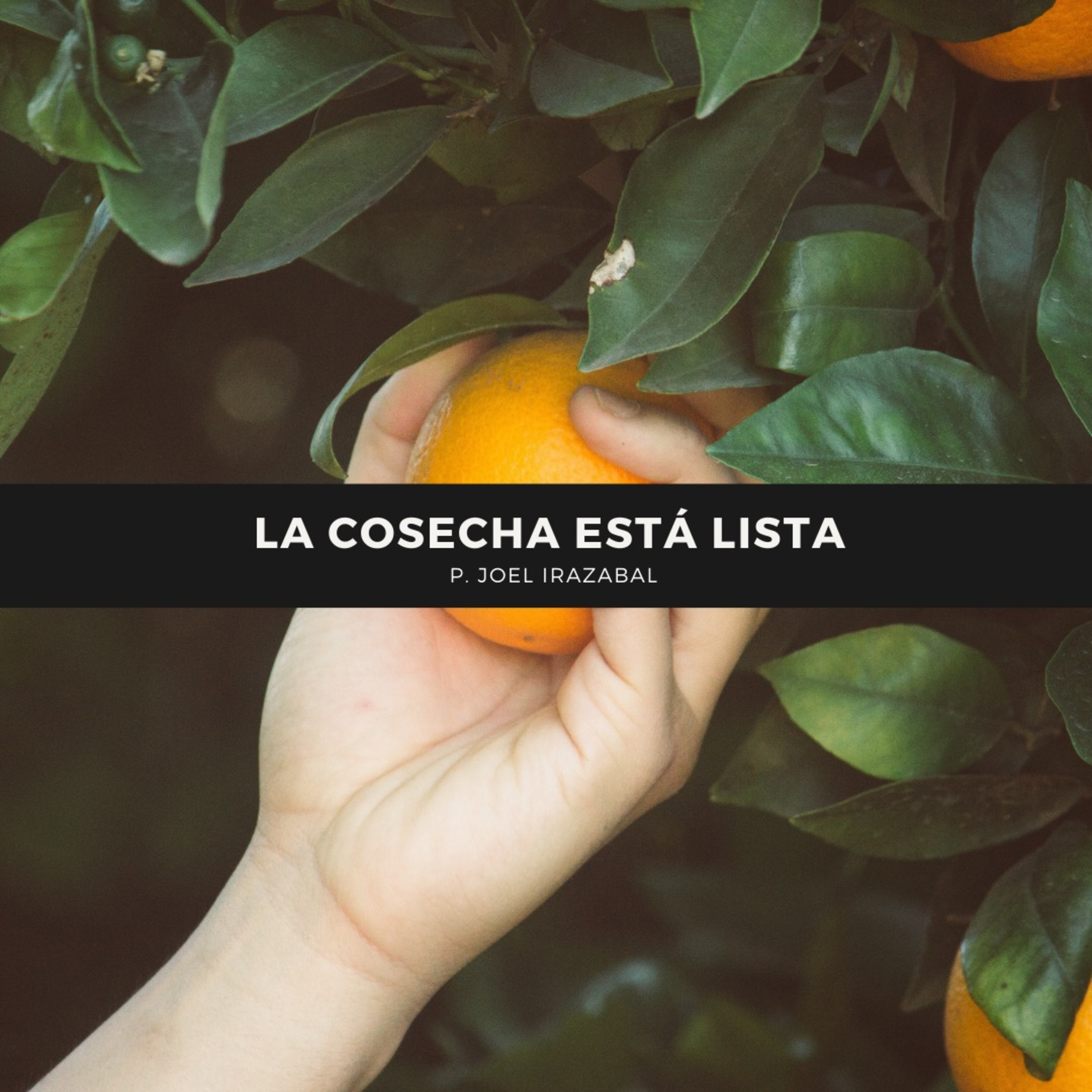 Portada de Un Propósito Podcast
