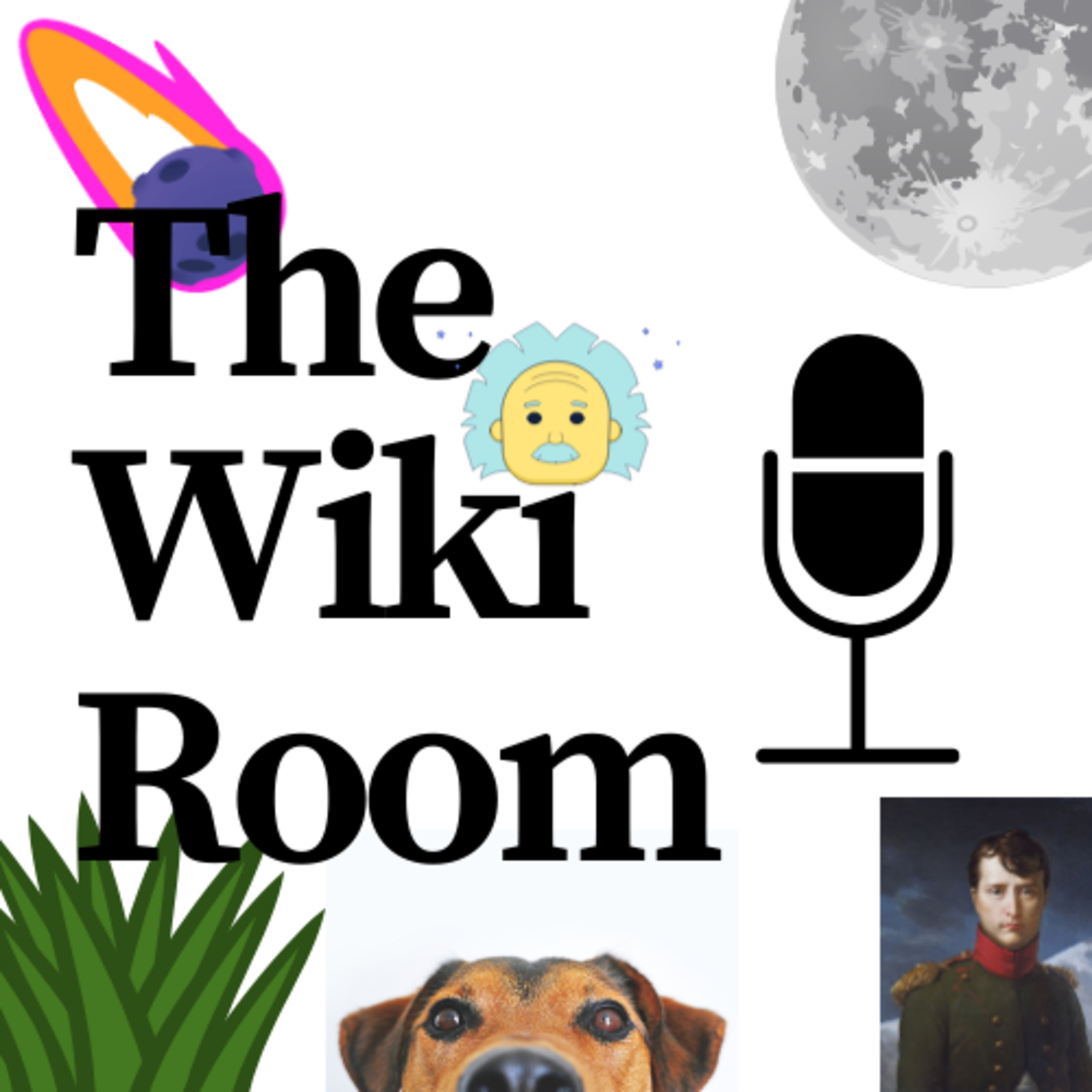 The Wiki Room - Learning with Friendship
