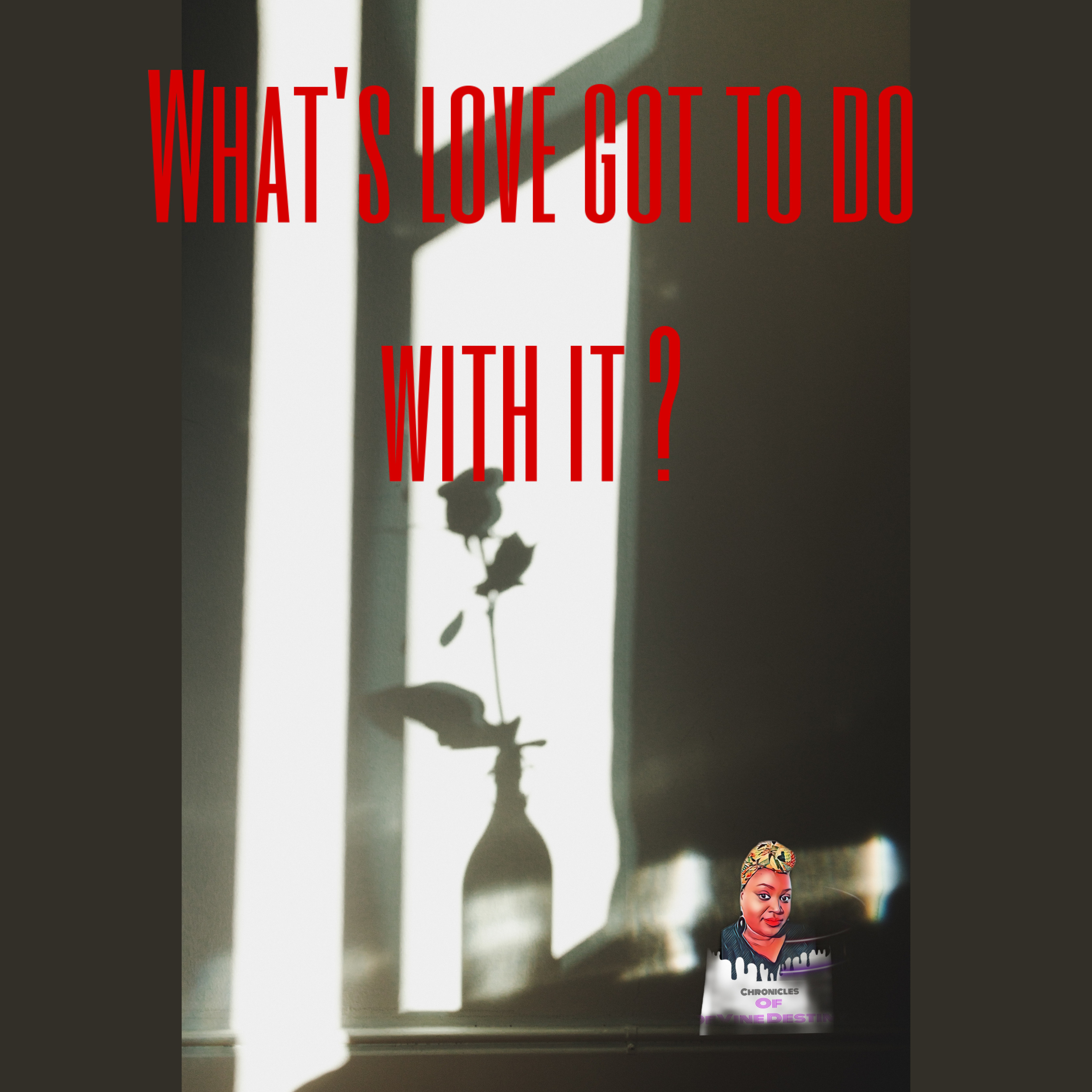 Chronicles of Devine Destiny Podcast