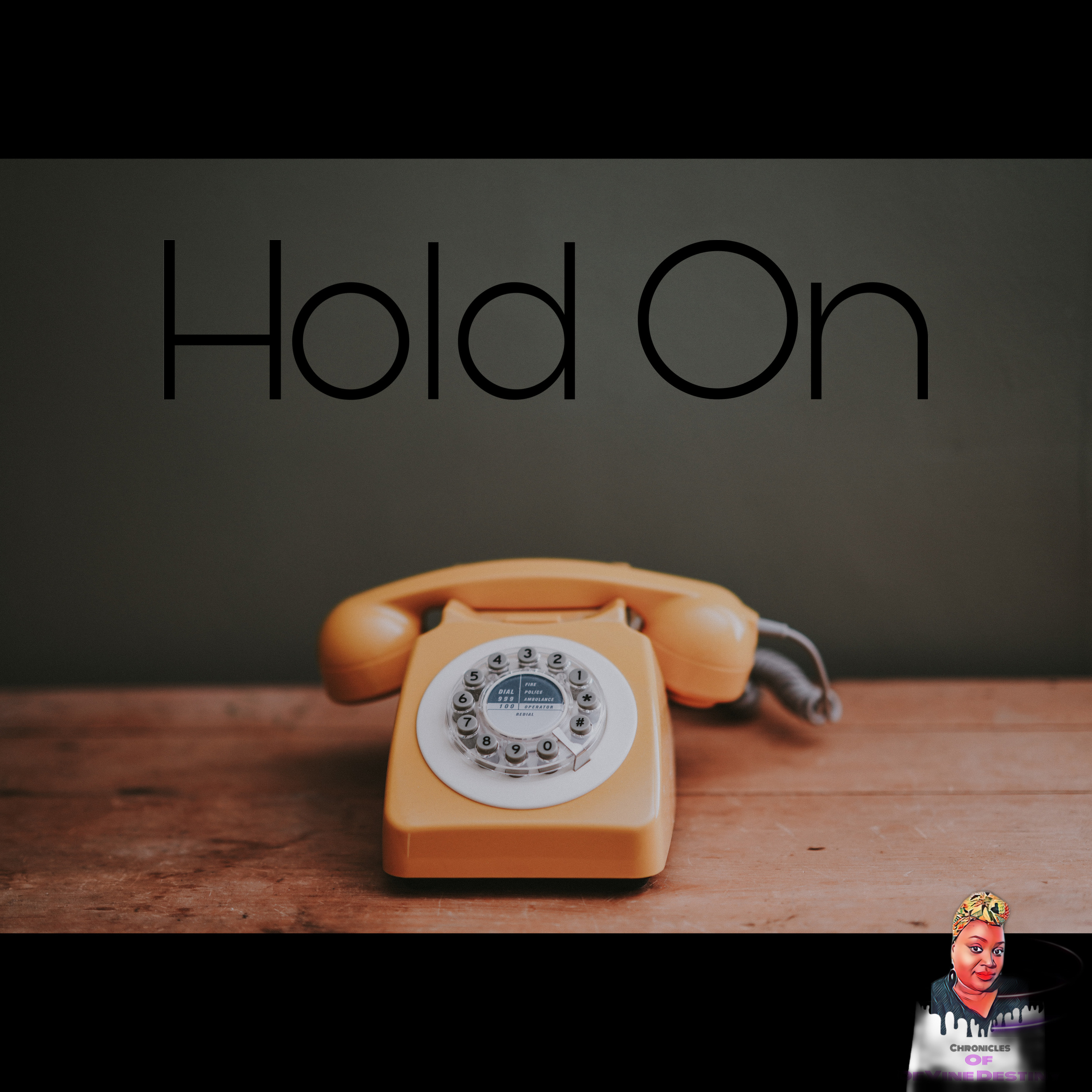 Chronicles of Devine Destiny Podcast