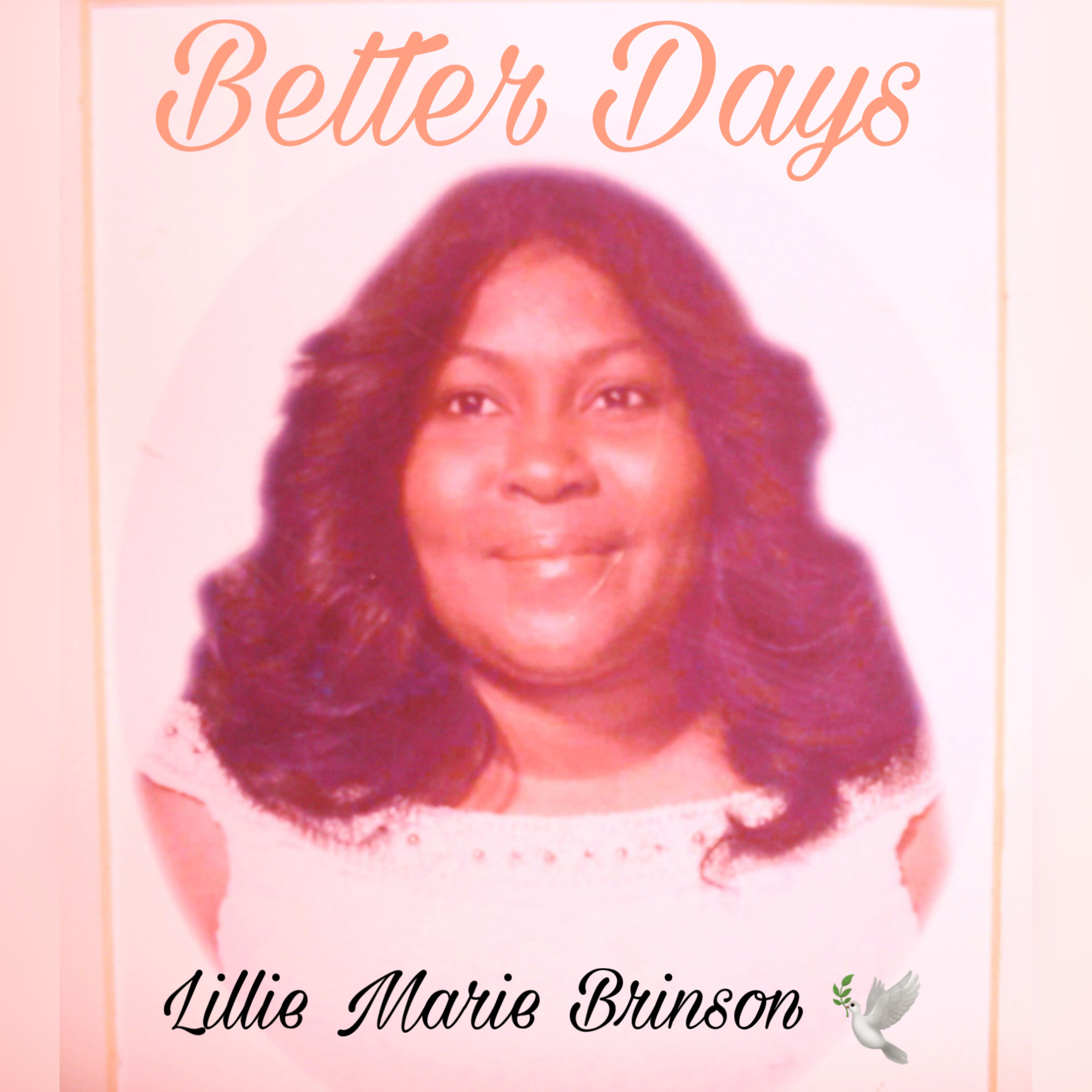 Chronicles of Devine Destiny Podcast