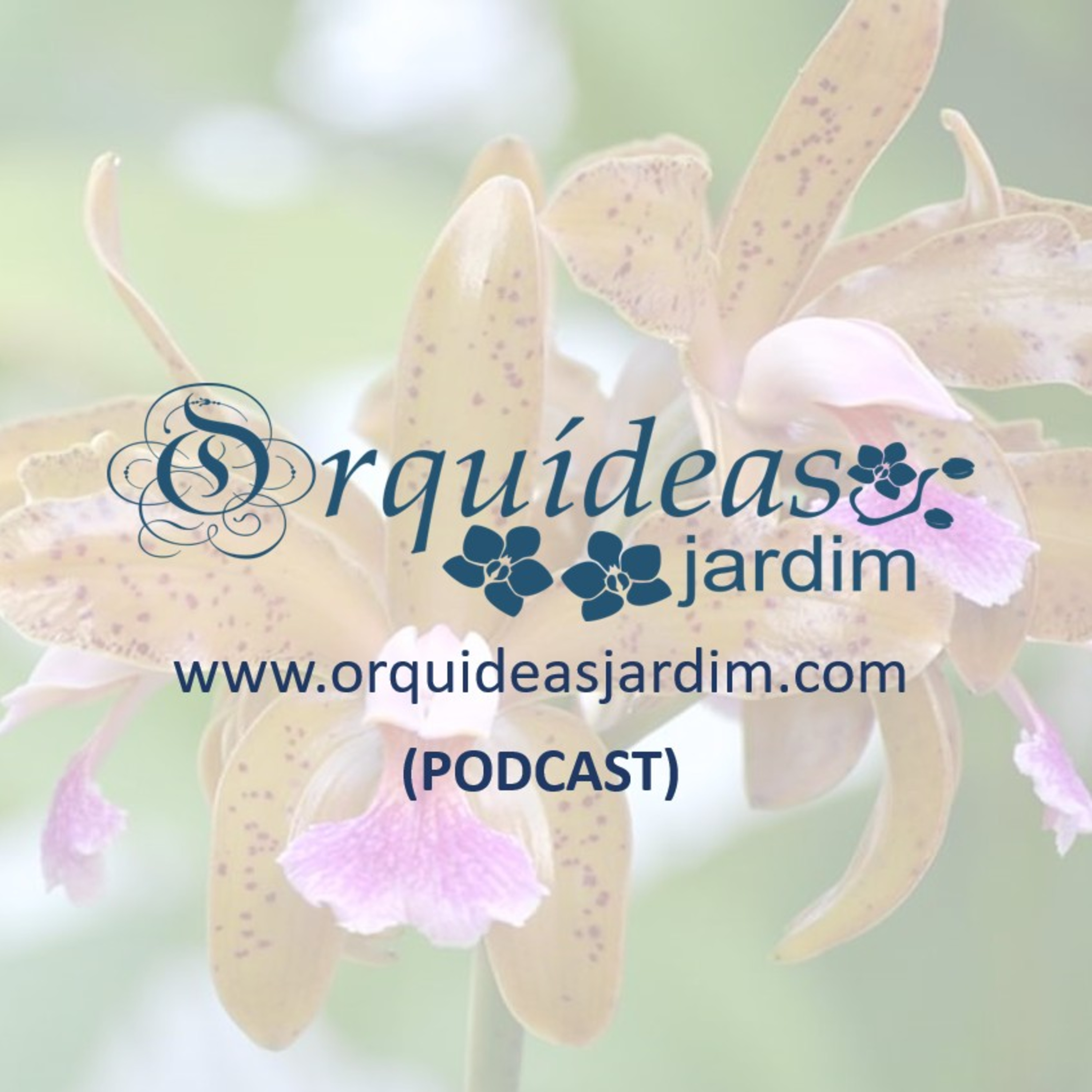 Orquídeas - Conhecer para cultivar