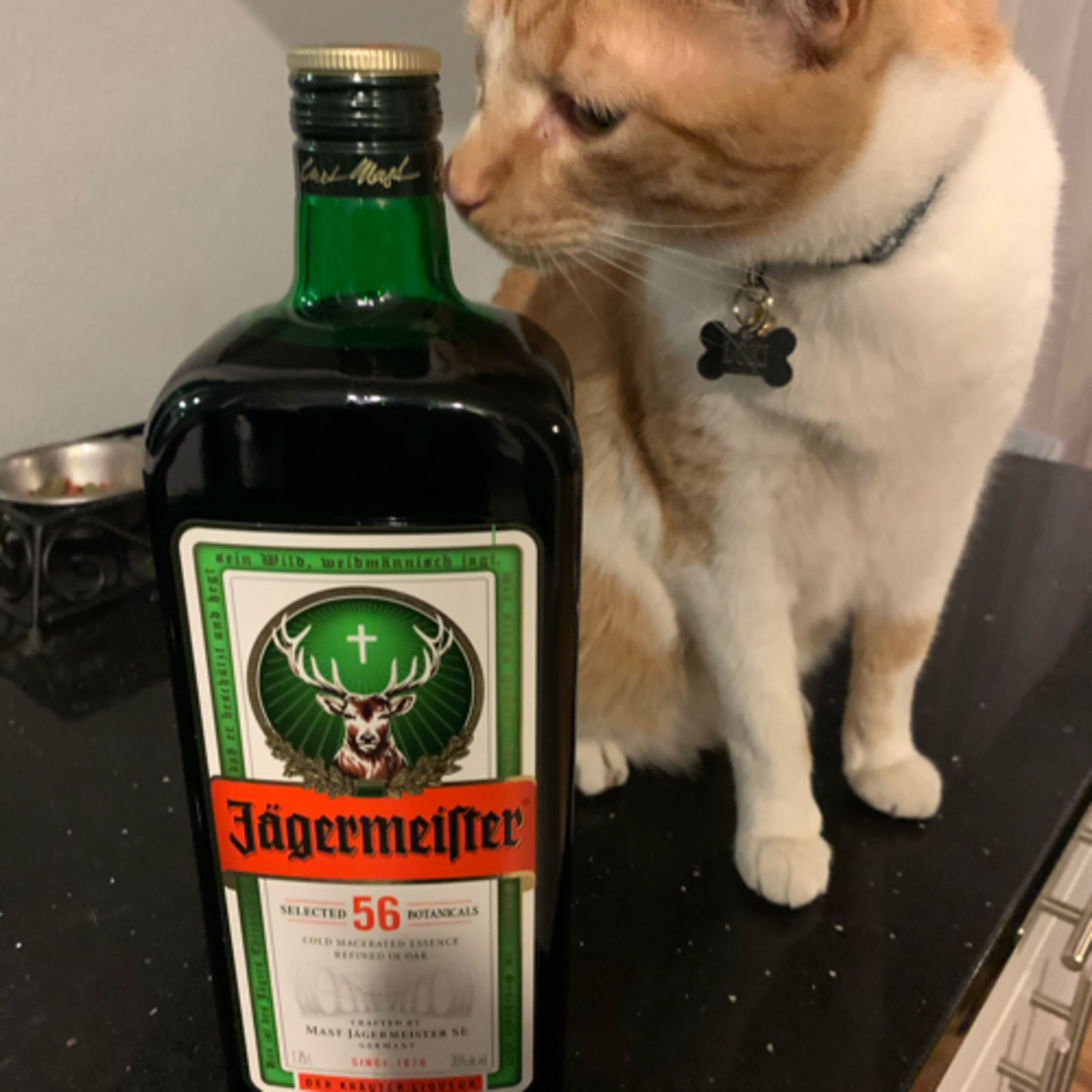 Jäger-Bomb Podcast Ep. 1: Pilot