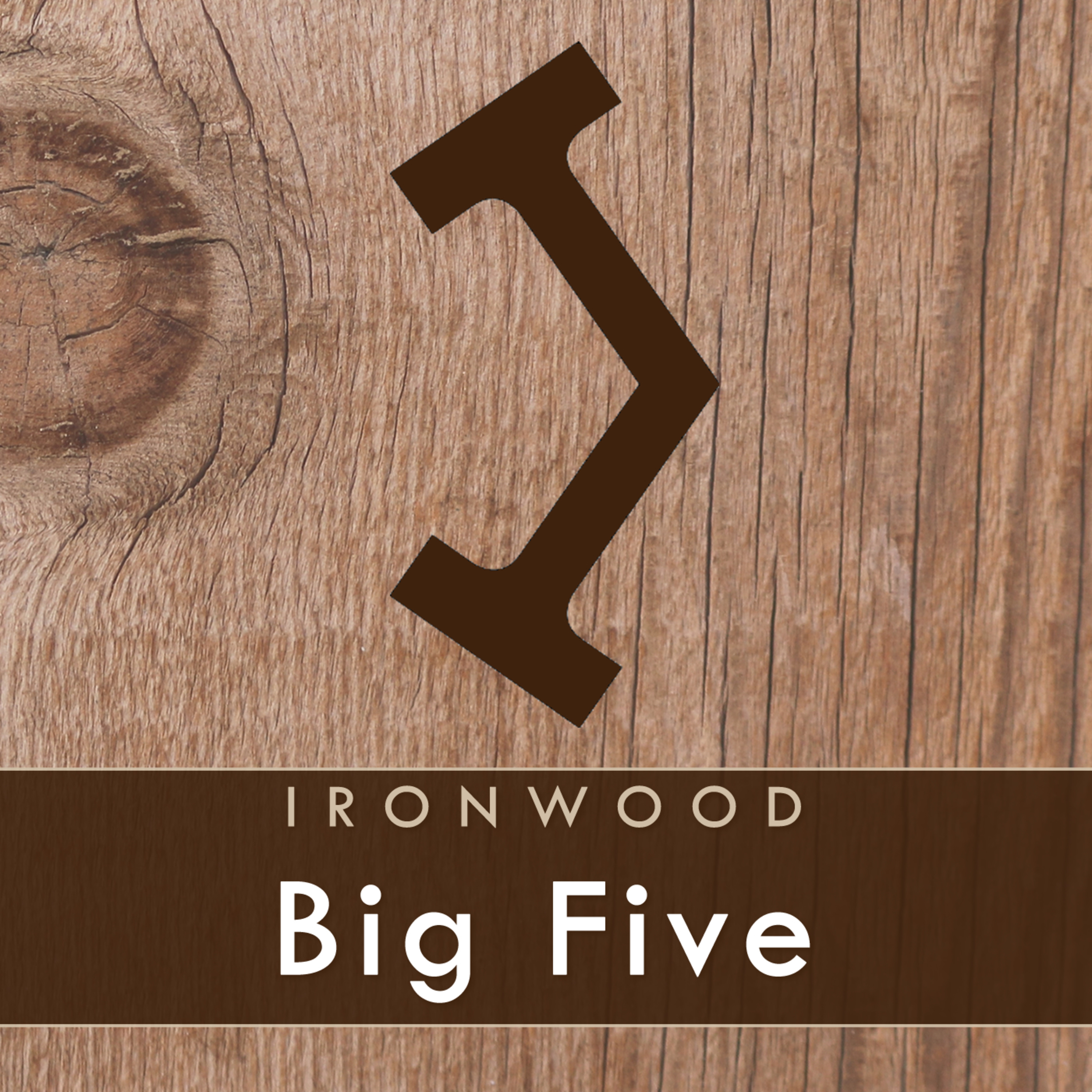 Big 5: Overwhelmed episode artwork