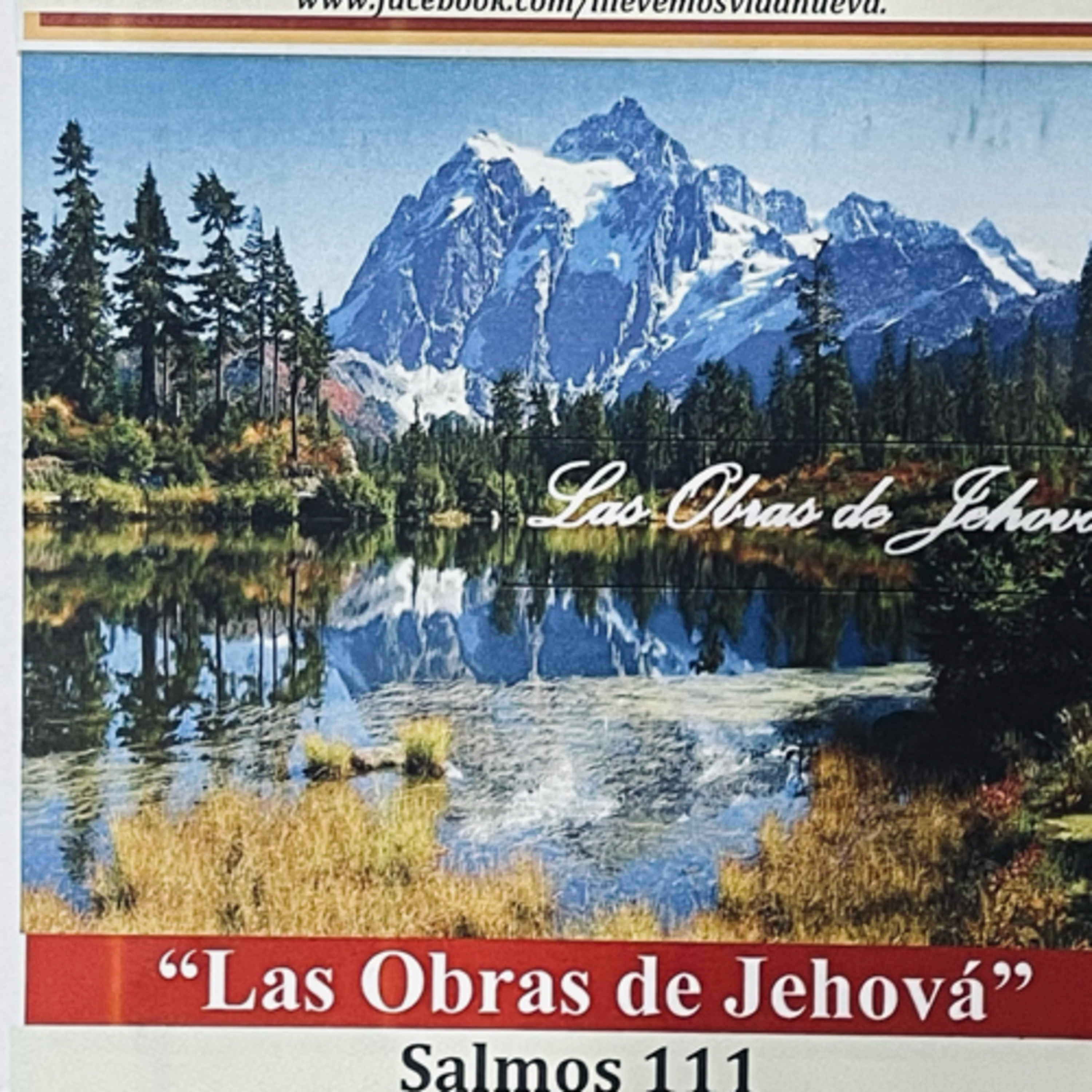 Portada de Día en Día