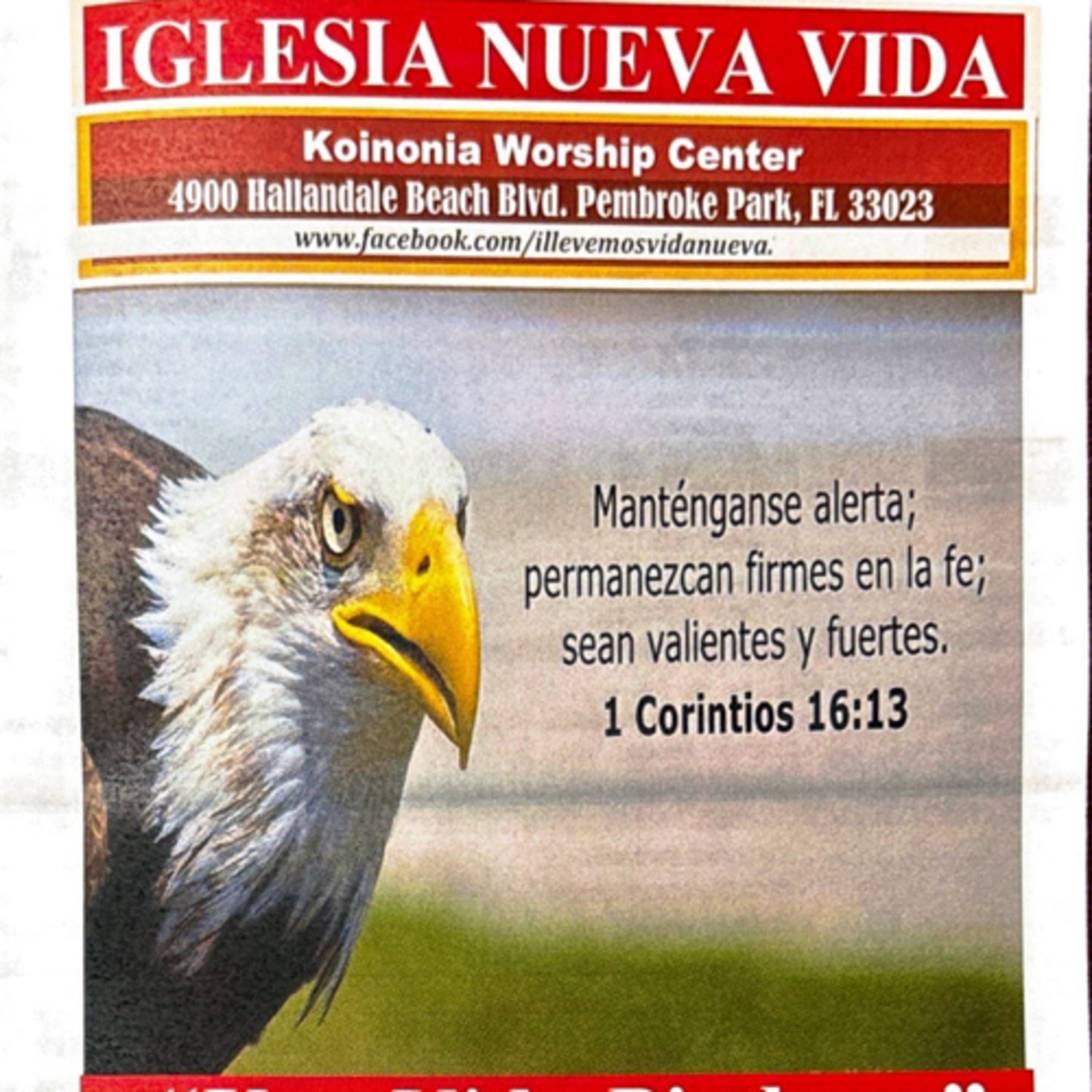 Portada de Día en Día