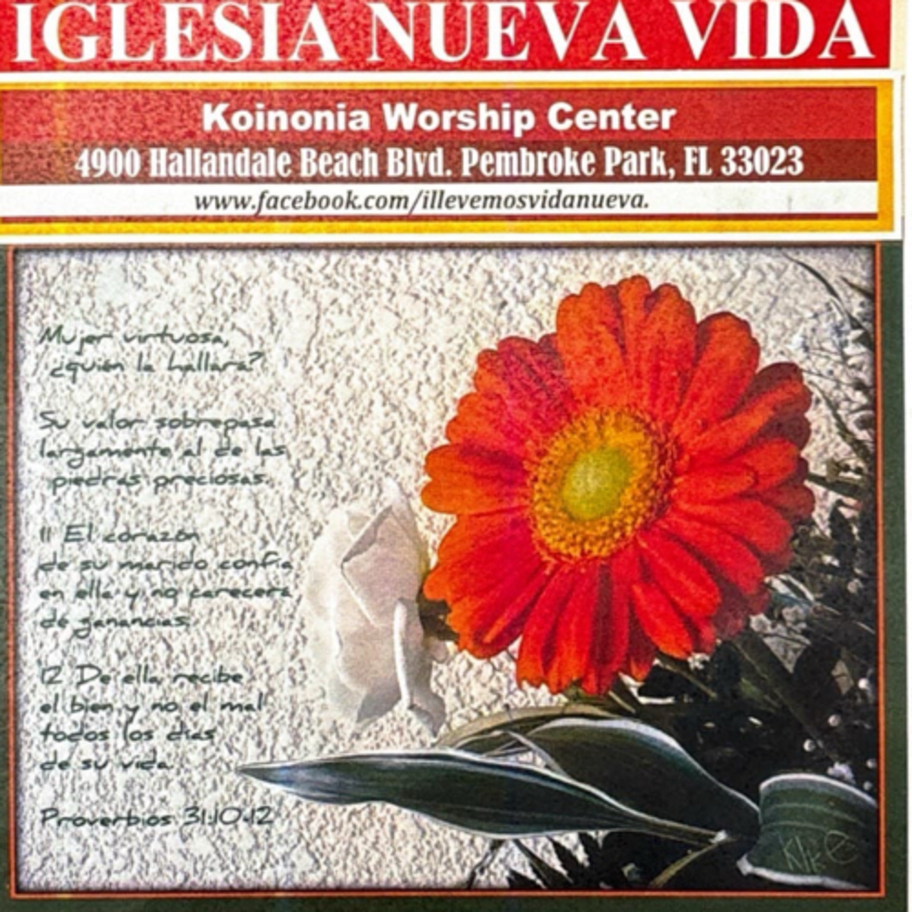 Portada de Día en Día