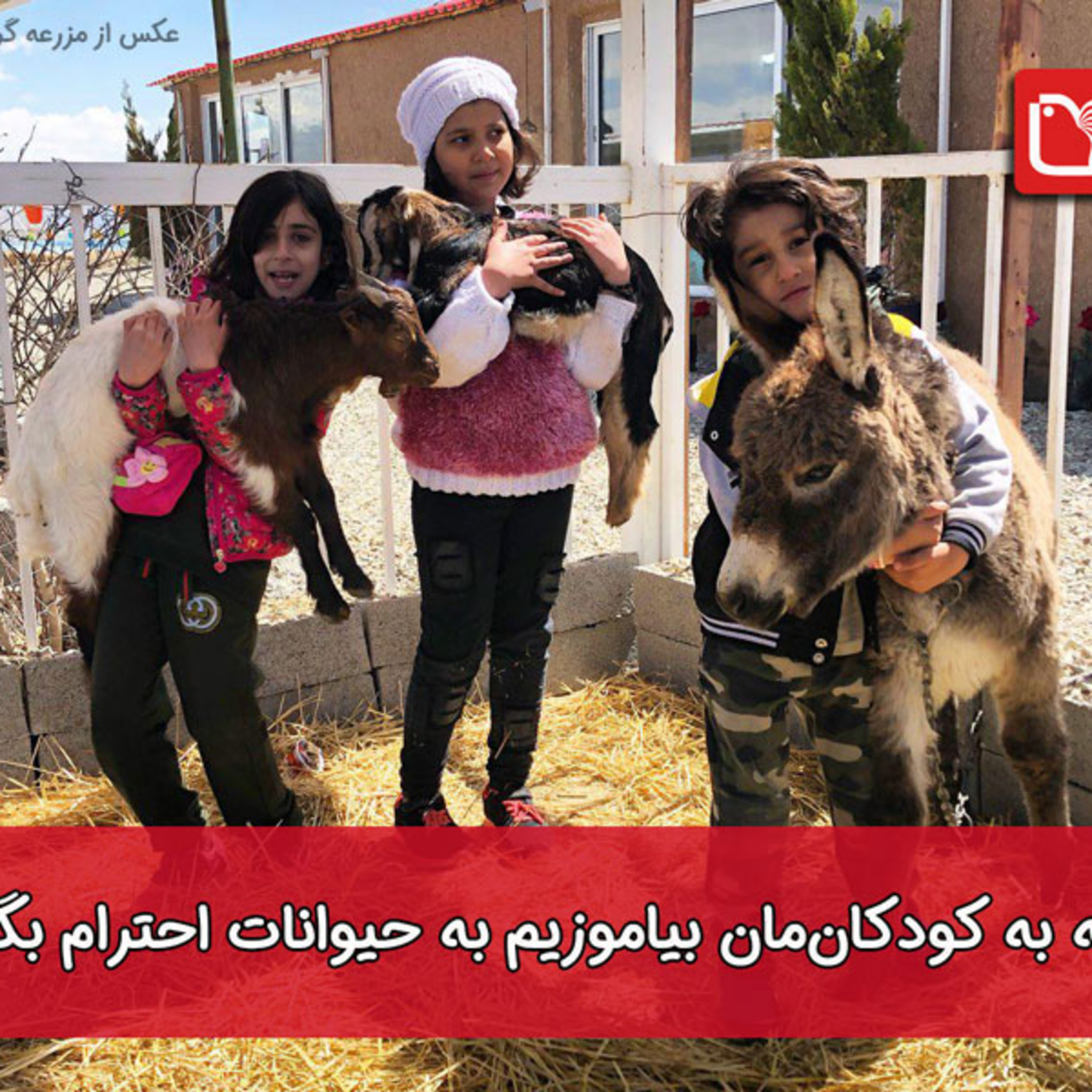 کاور چگونه به کودکانمان احترام گذاشتن به جانوران را بیاموزیم؟