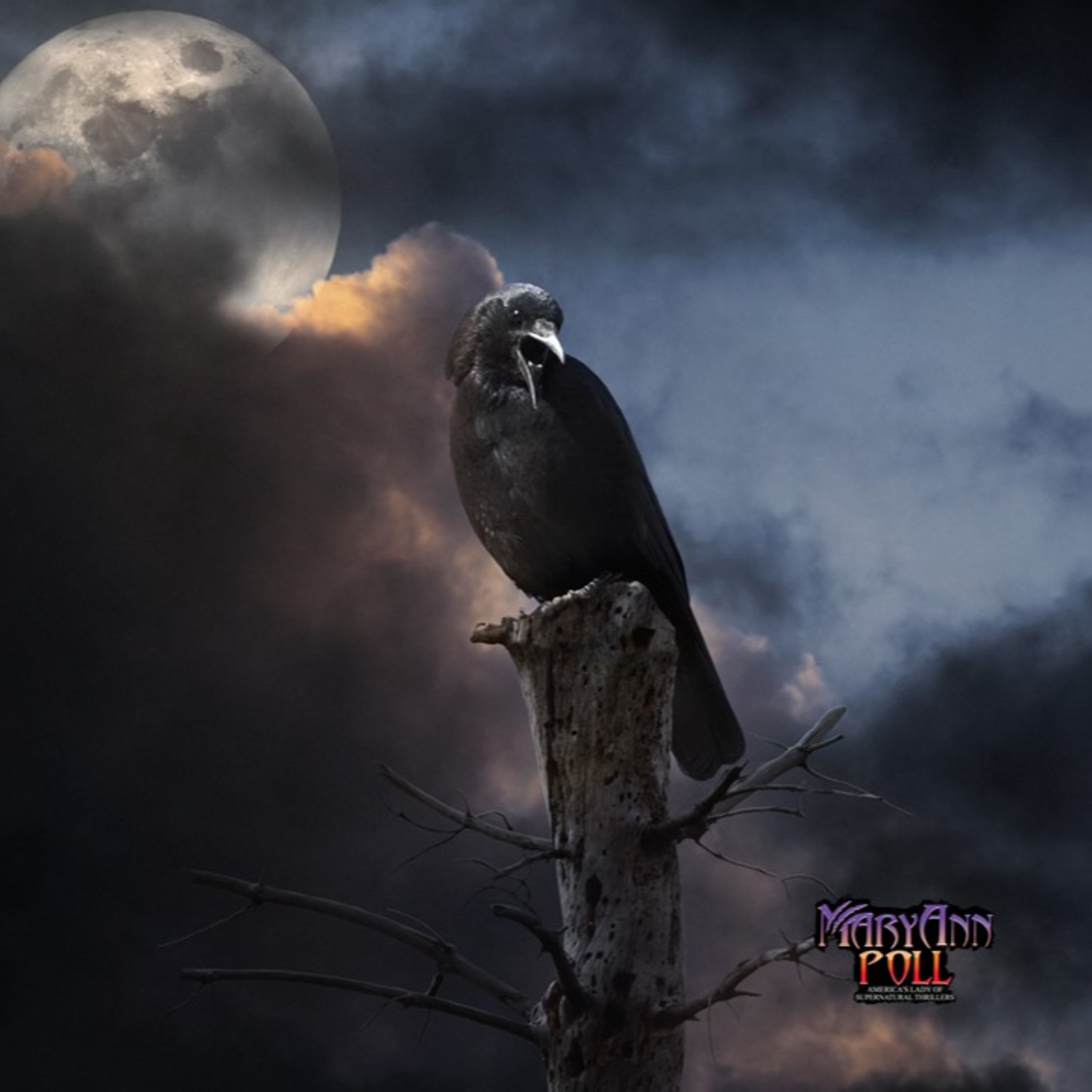 Real Ghost Chatter podcast cover