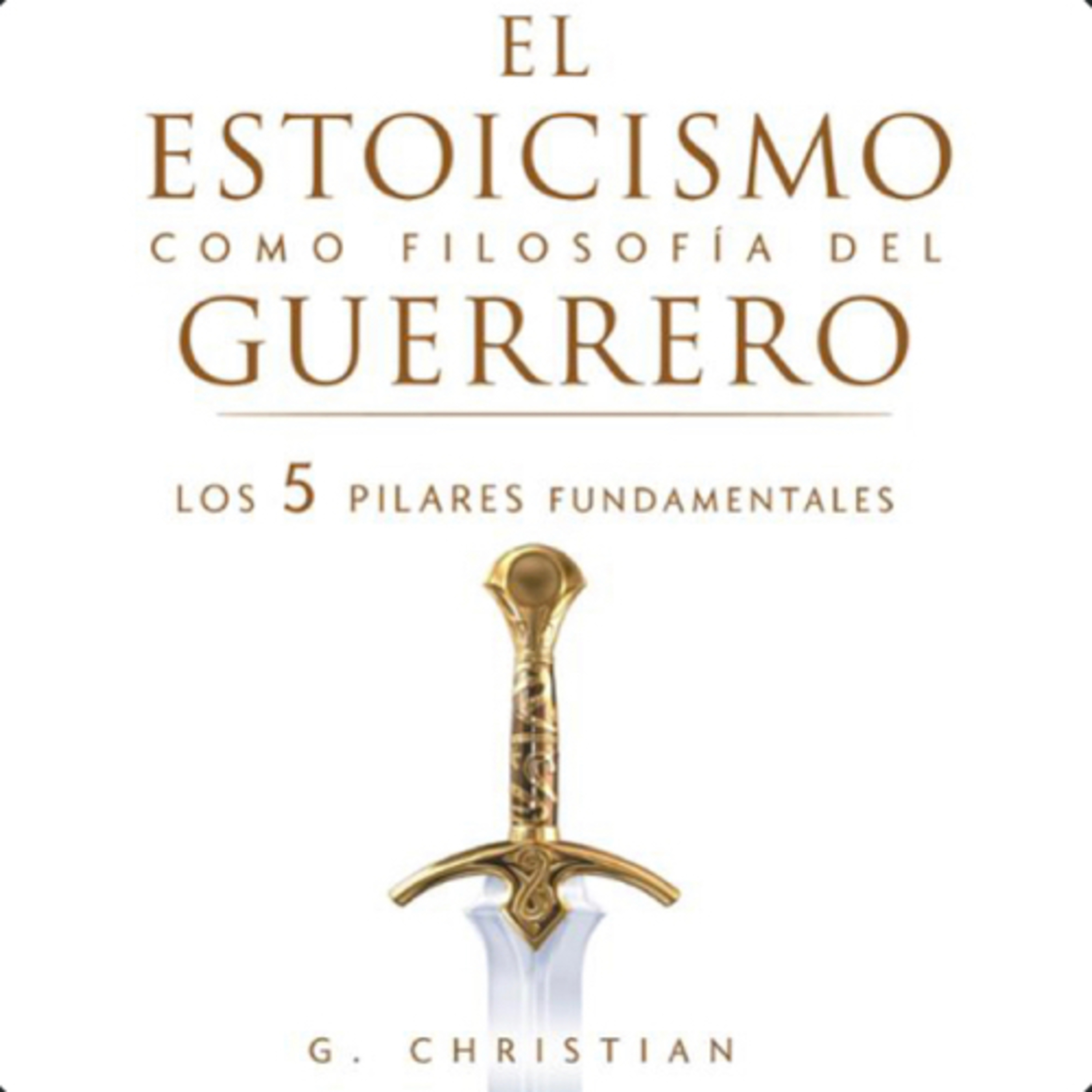 Tsundoku: Escucha resúmenes de libros