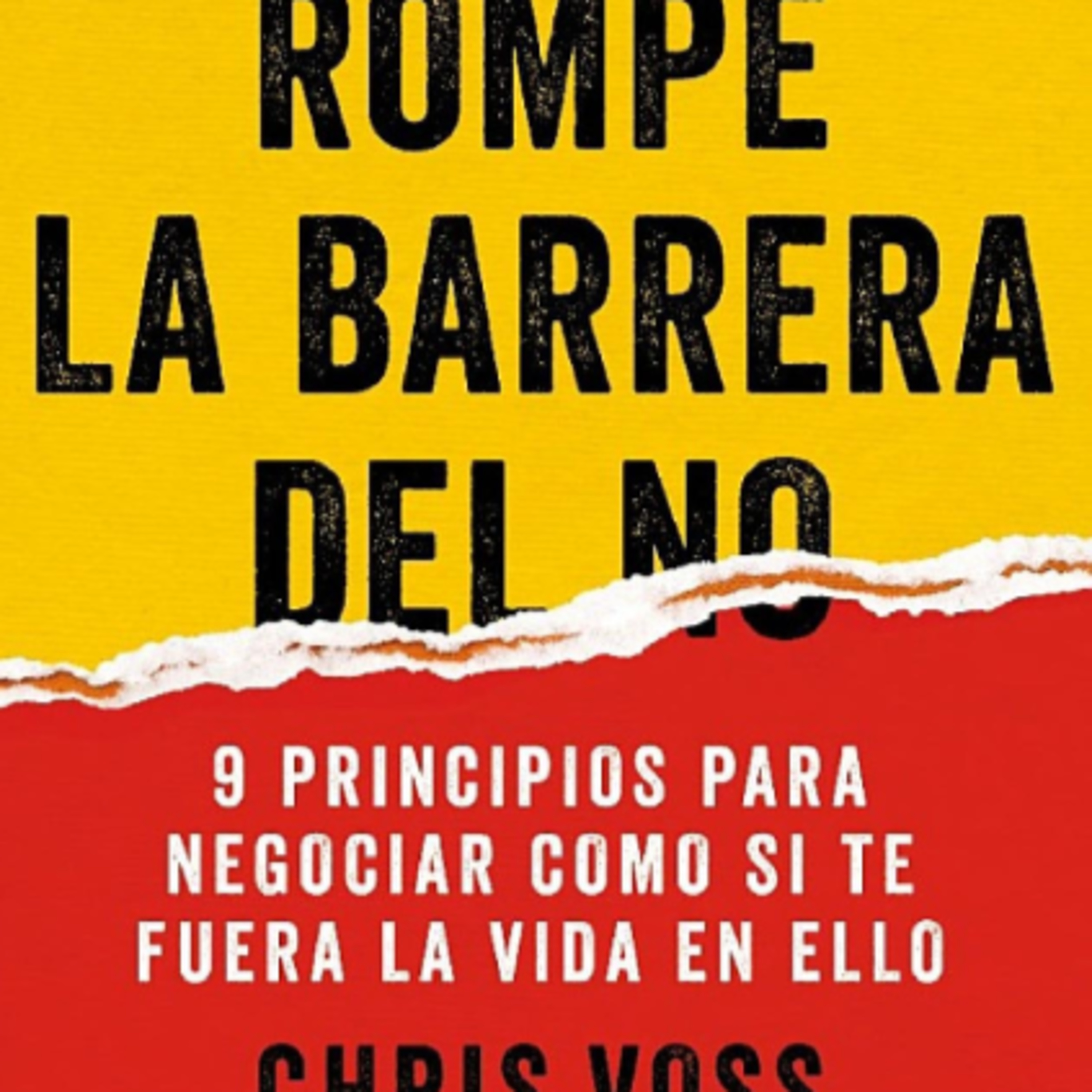 Tsundoku: Escucha resúmenes de libros