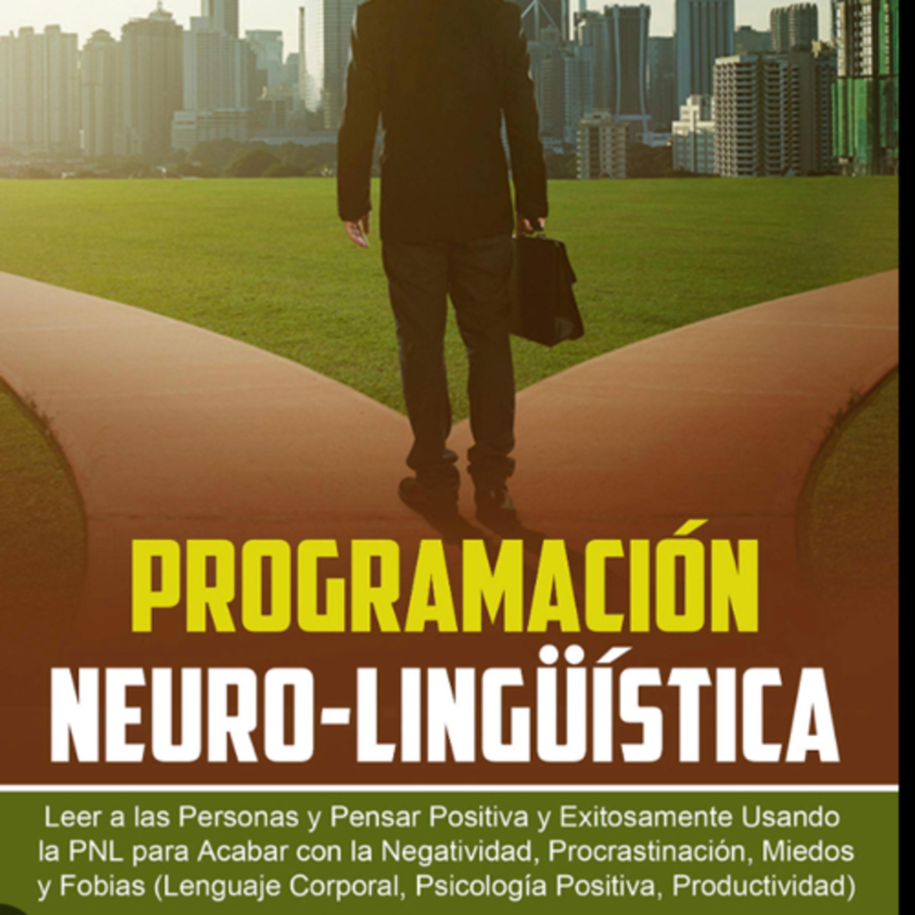 Tsundoku: Escucha resúmenes de libros