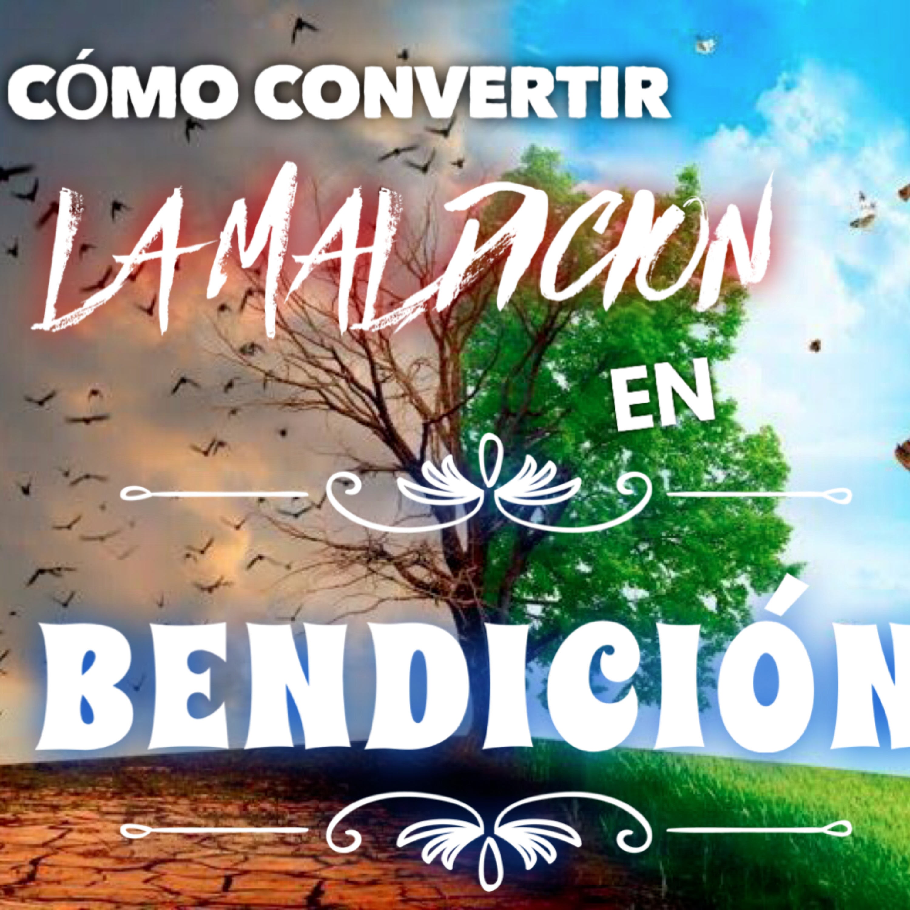 Ksa de Dios PC