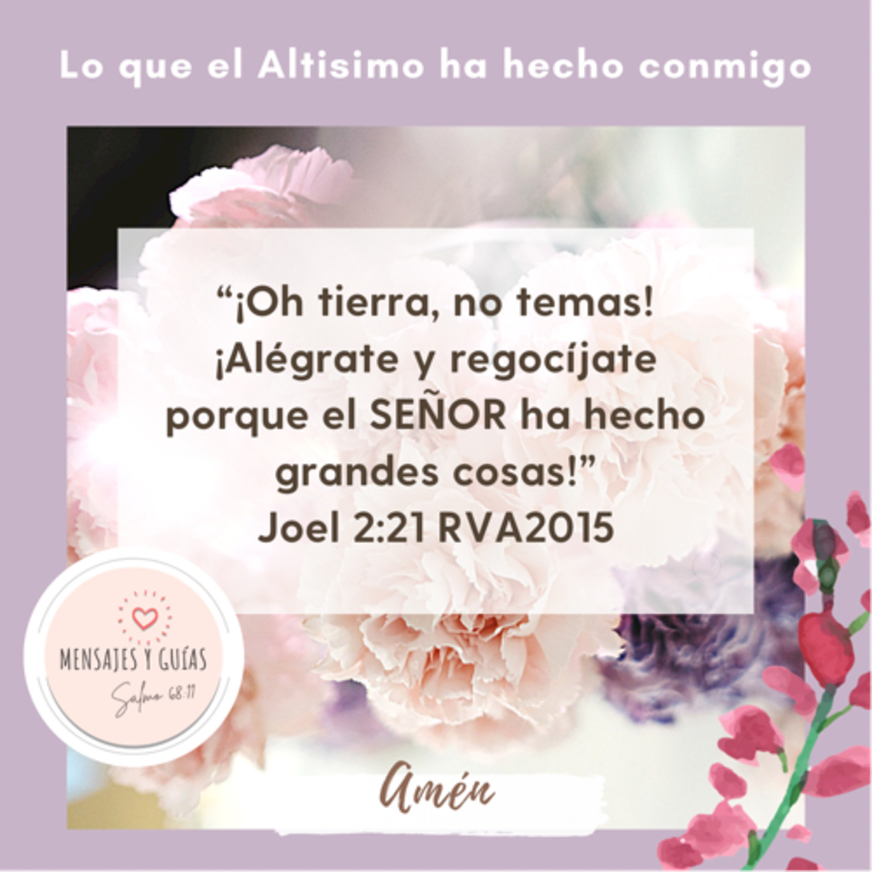 Mensajes y Guías
