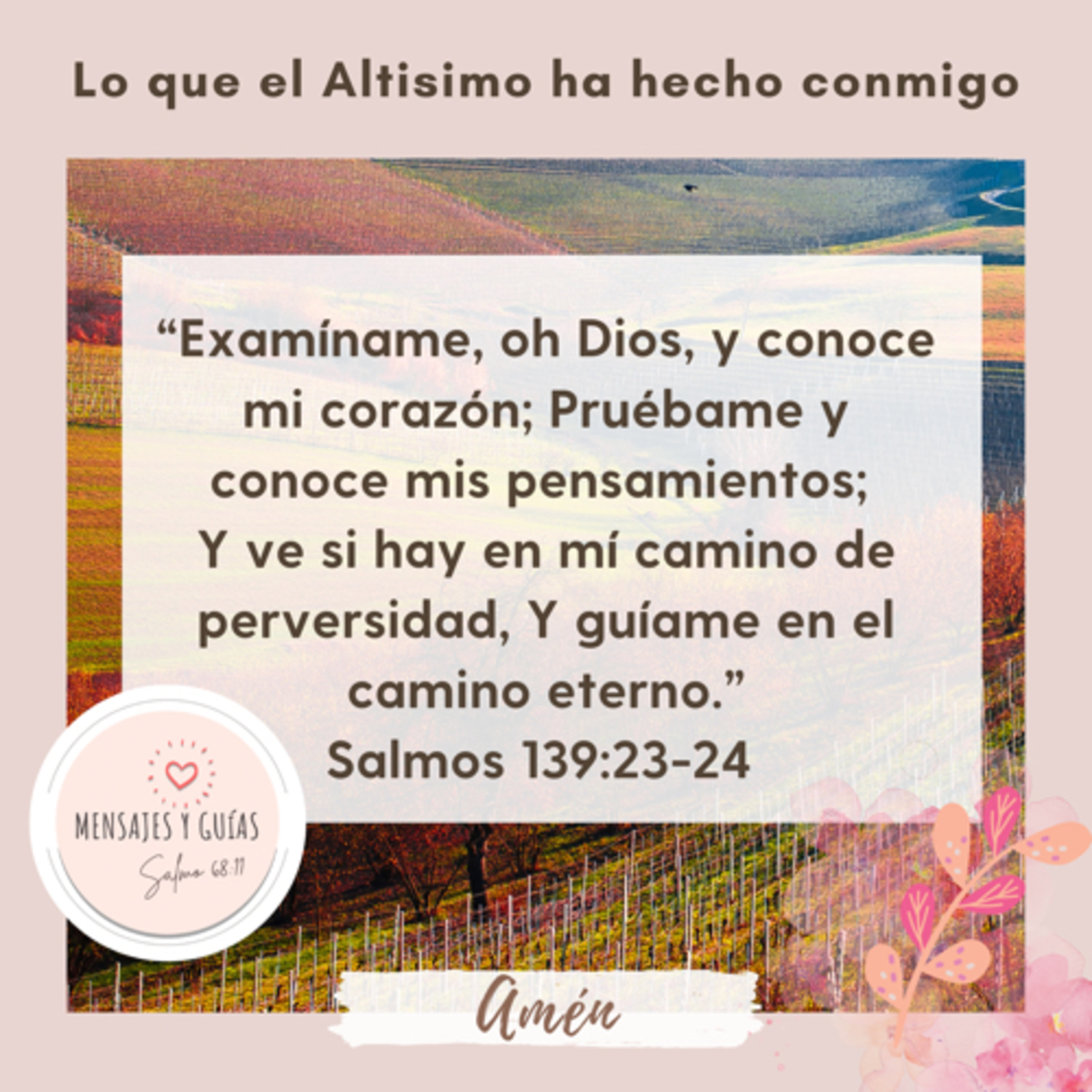 Mensajes y Guías