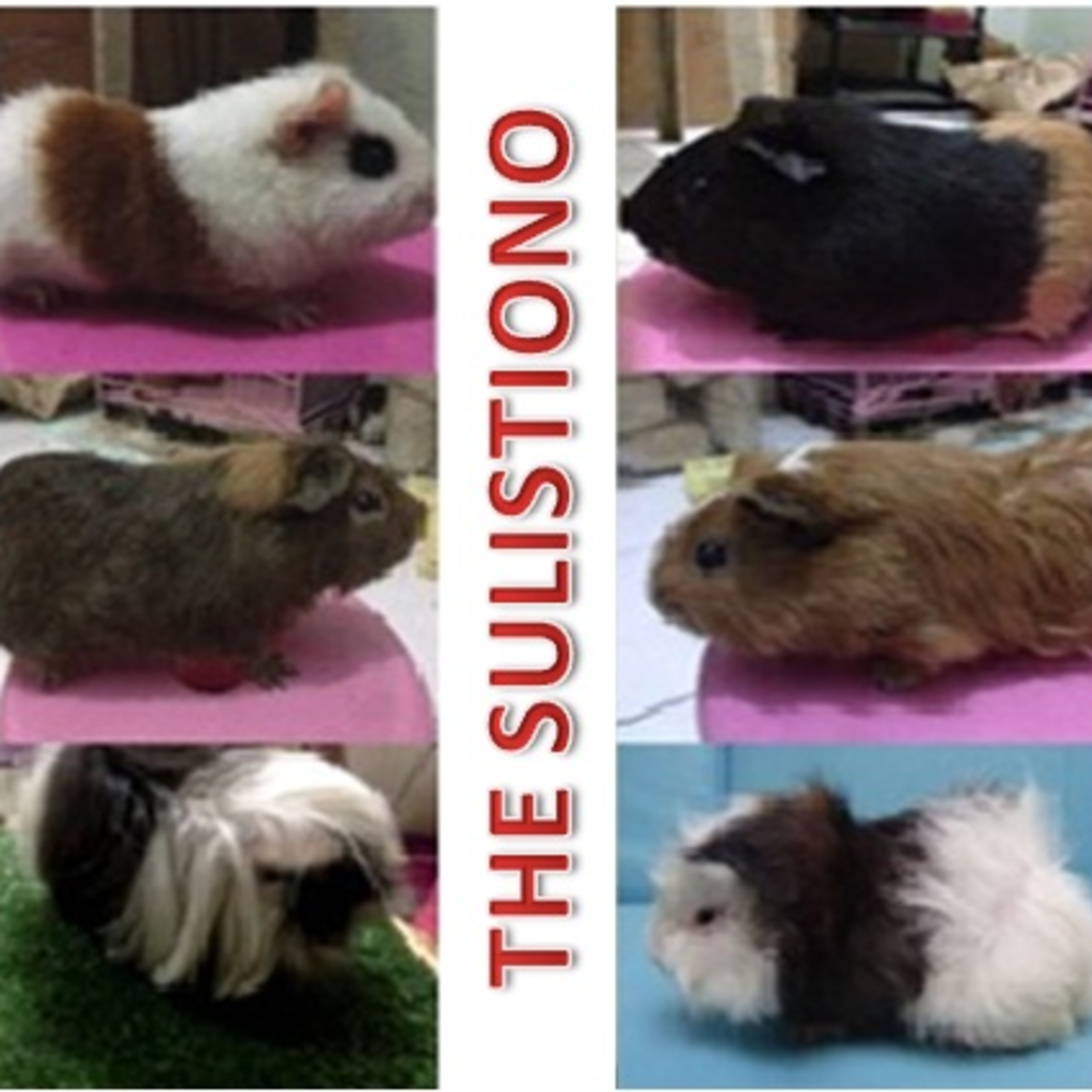 thesulistiono podcast