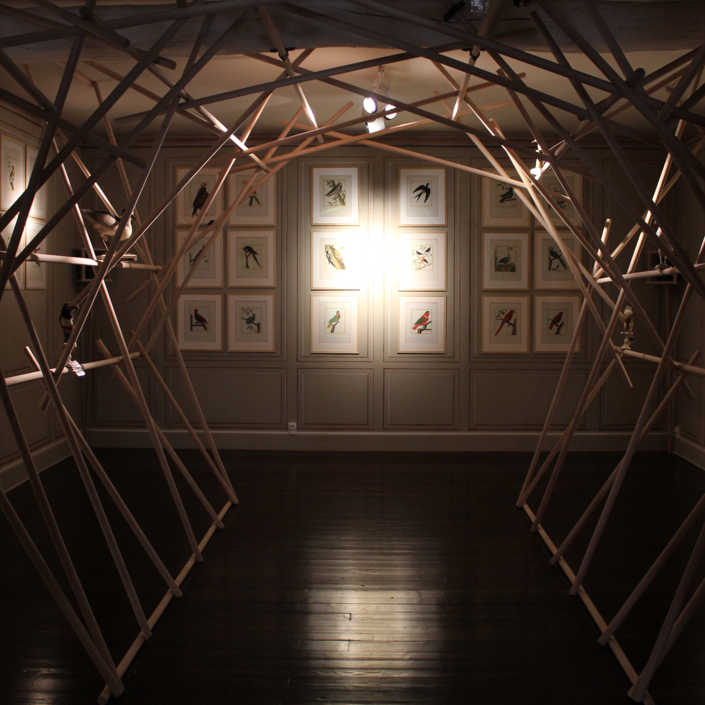 Le Nouveau Monde - Sur les pistes du vivant - Portraits de naturalistes du XXe siècle - Jérôme Sueur - Sixième escale : La stratégie de la mésange charbonnière