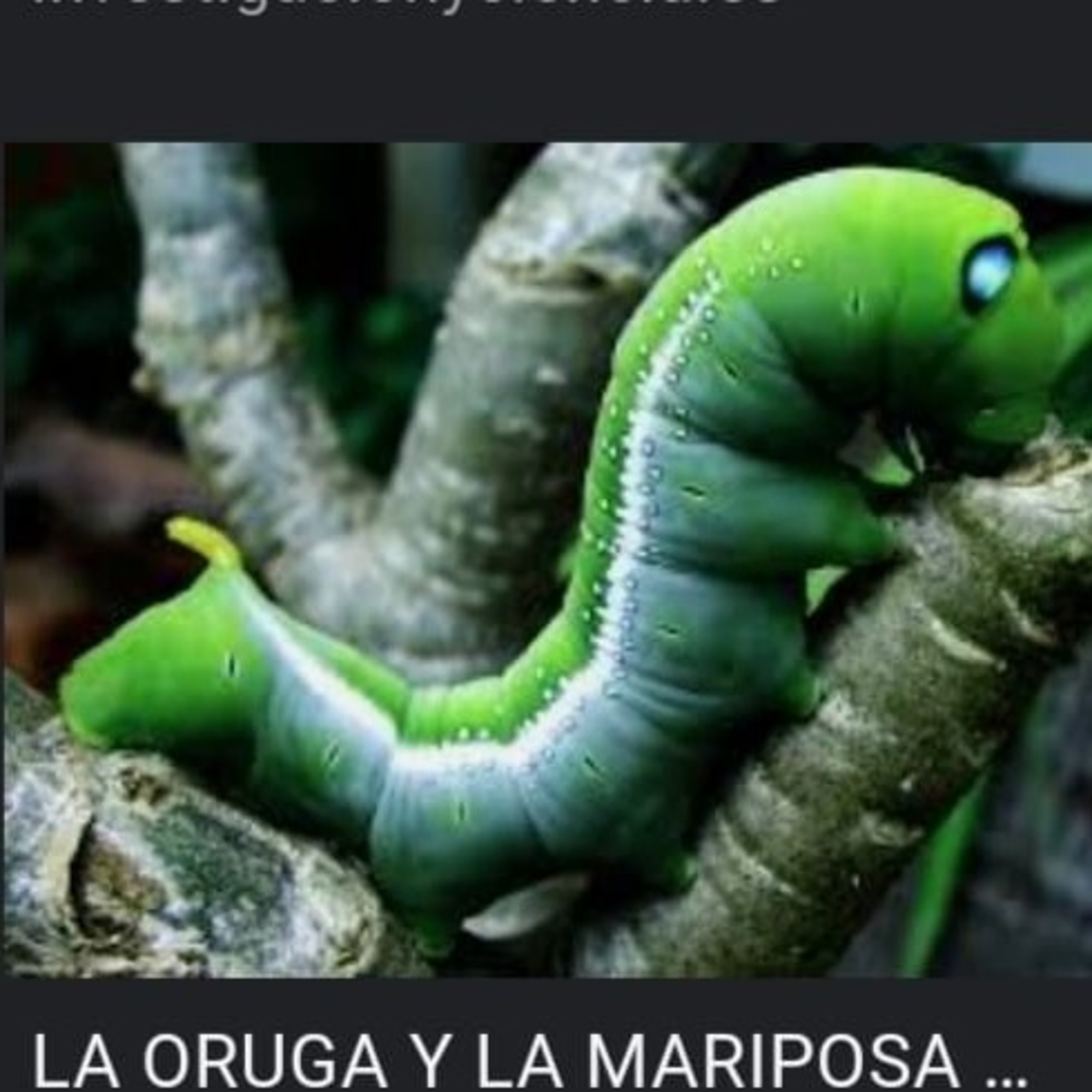 La Química De La Conciencia Y De la Inconciencia