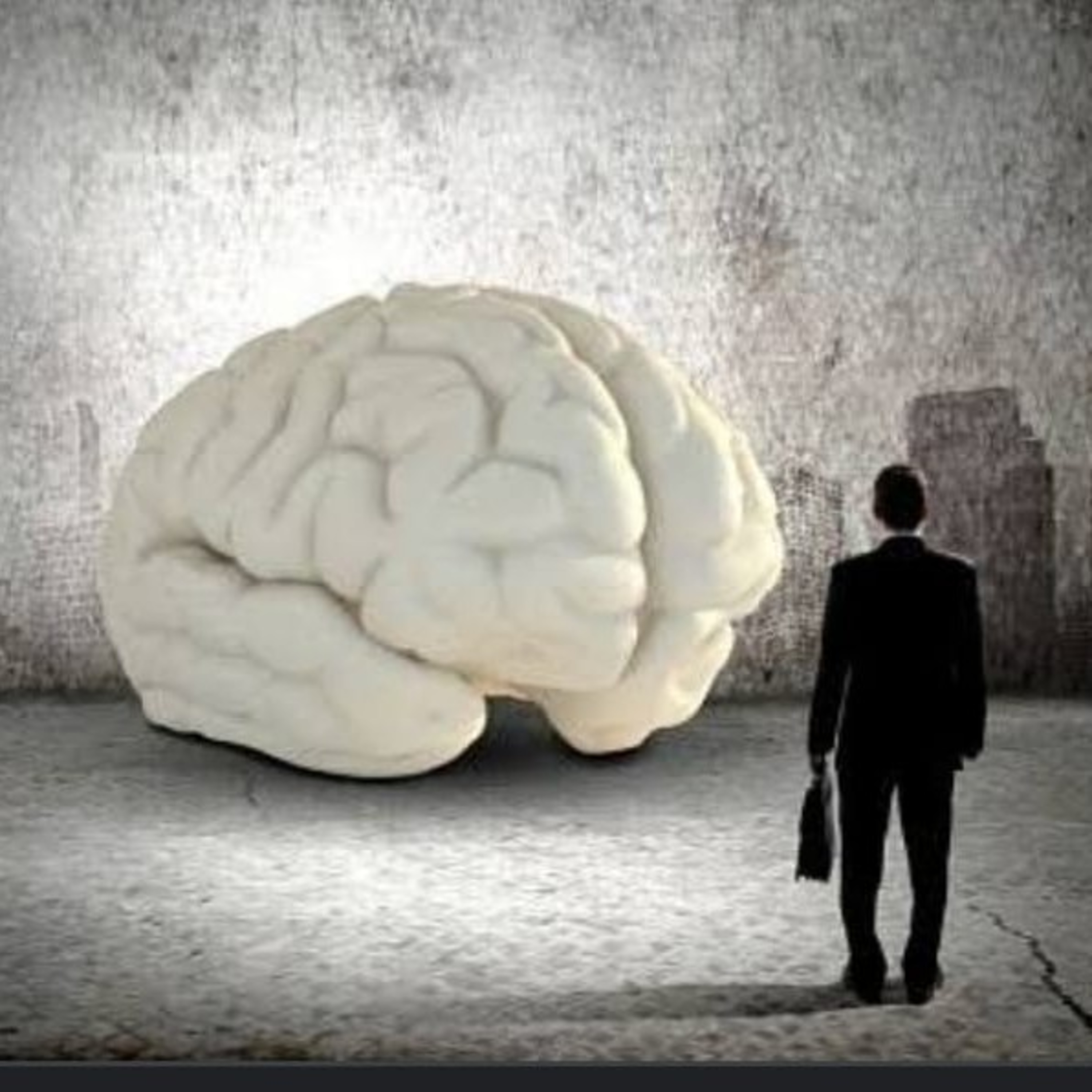 La Química De La Conciencia Y De la Inconciencia