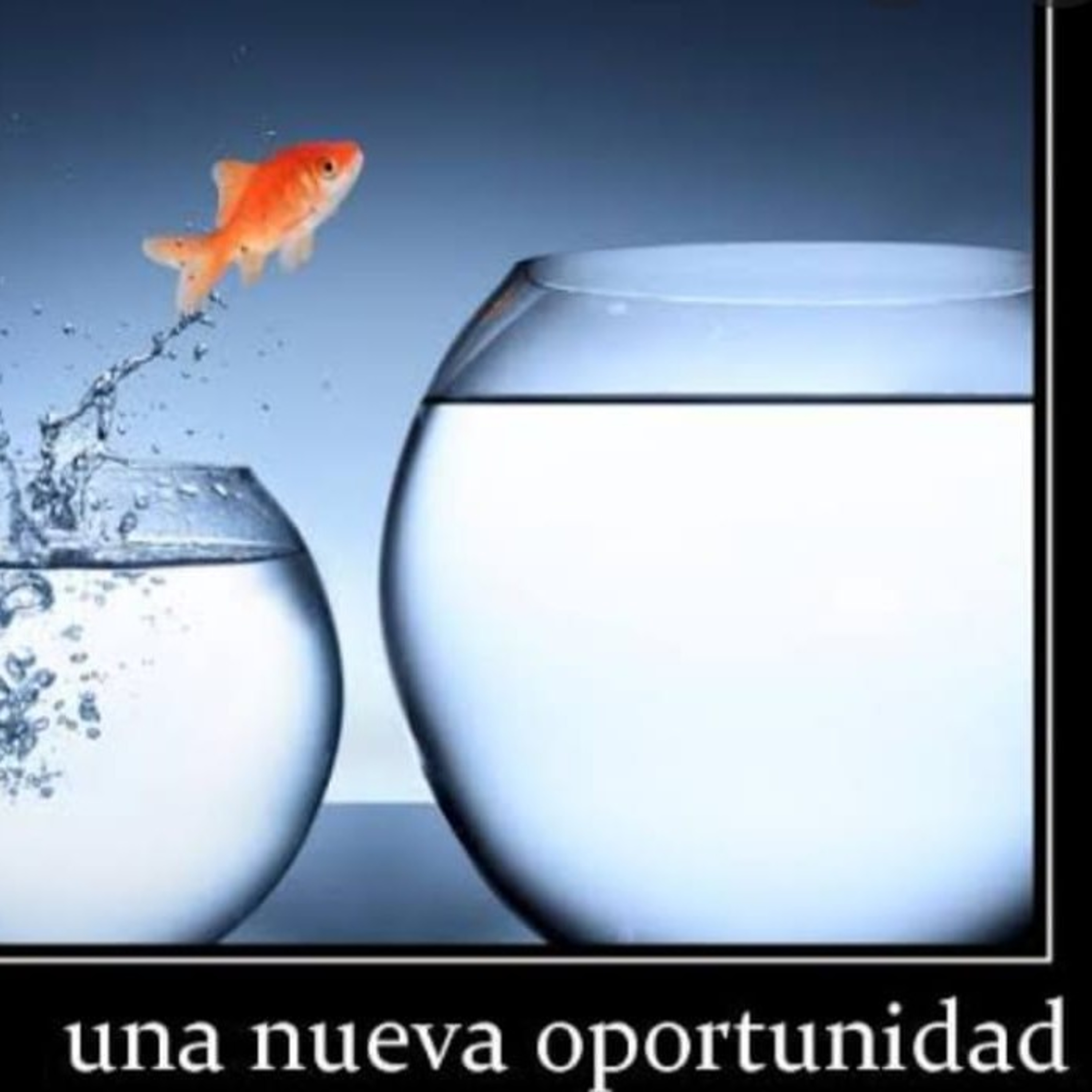 La Química De La Conciencia Y De la Inconciencia