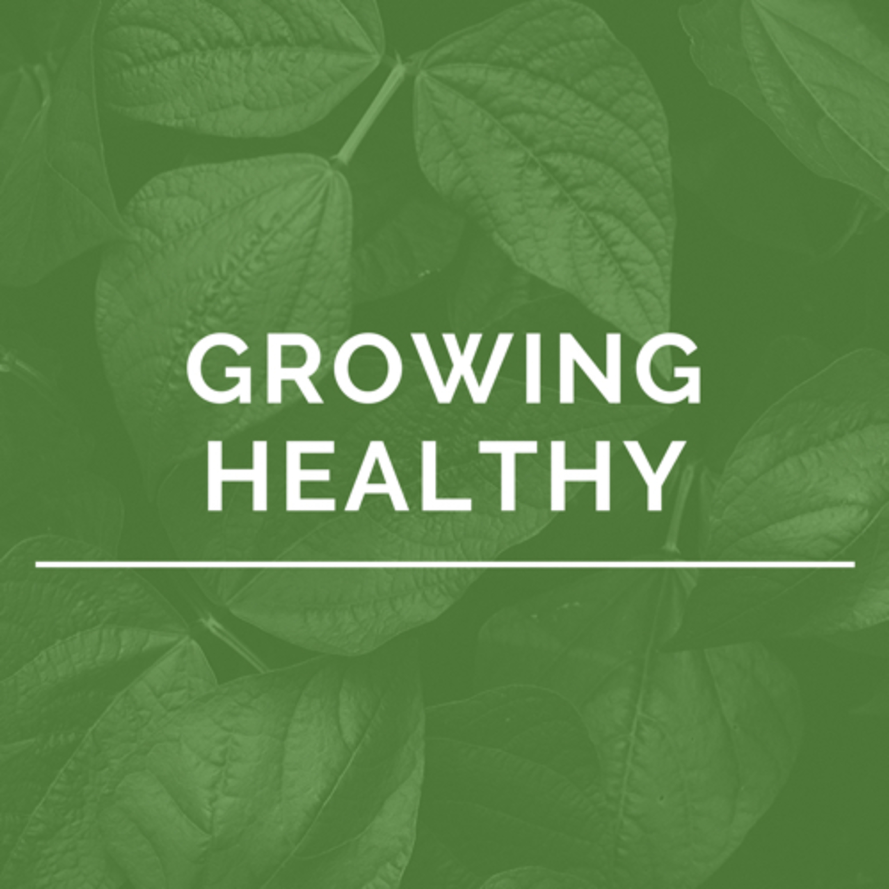 Growing Healthy Part 1 - Healthy Relationship