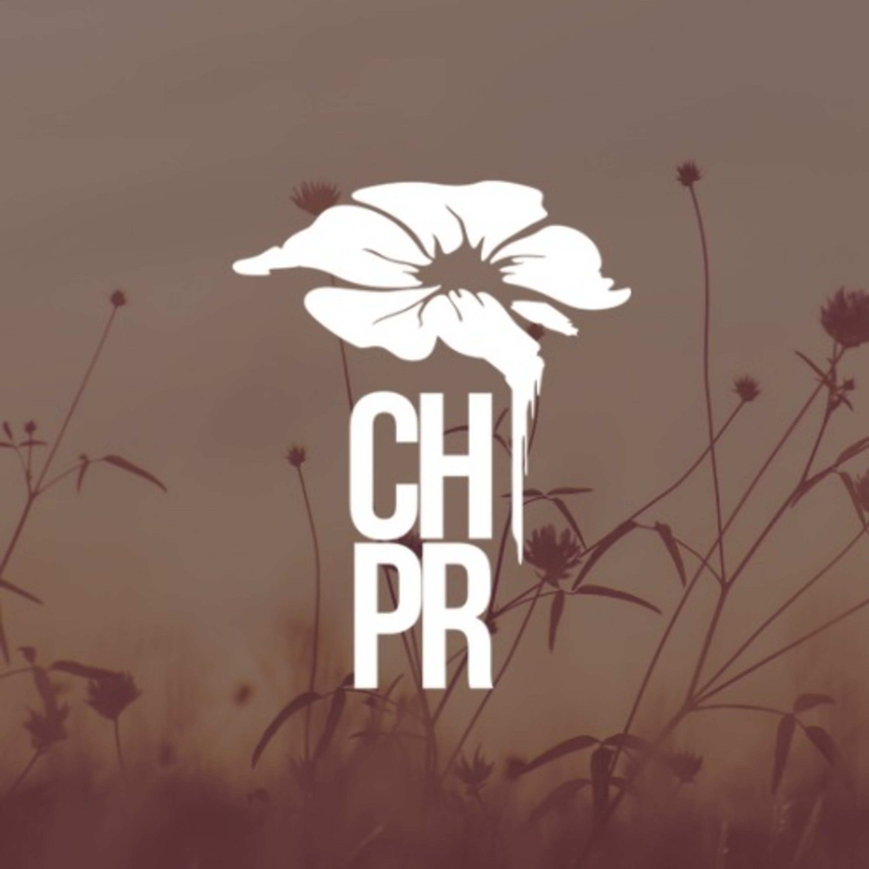 Dosis de poesía diaria