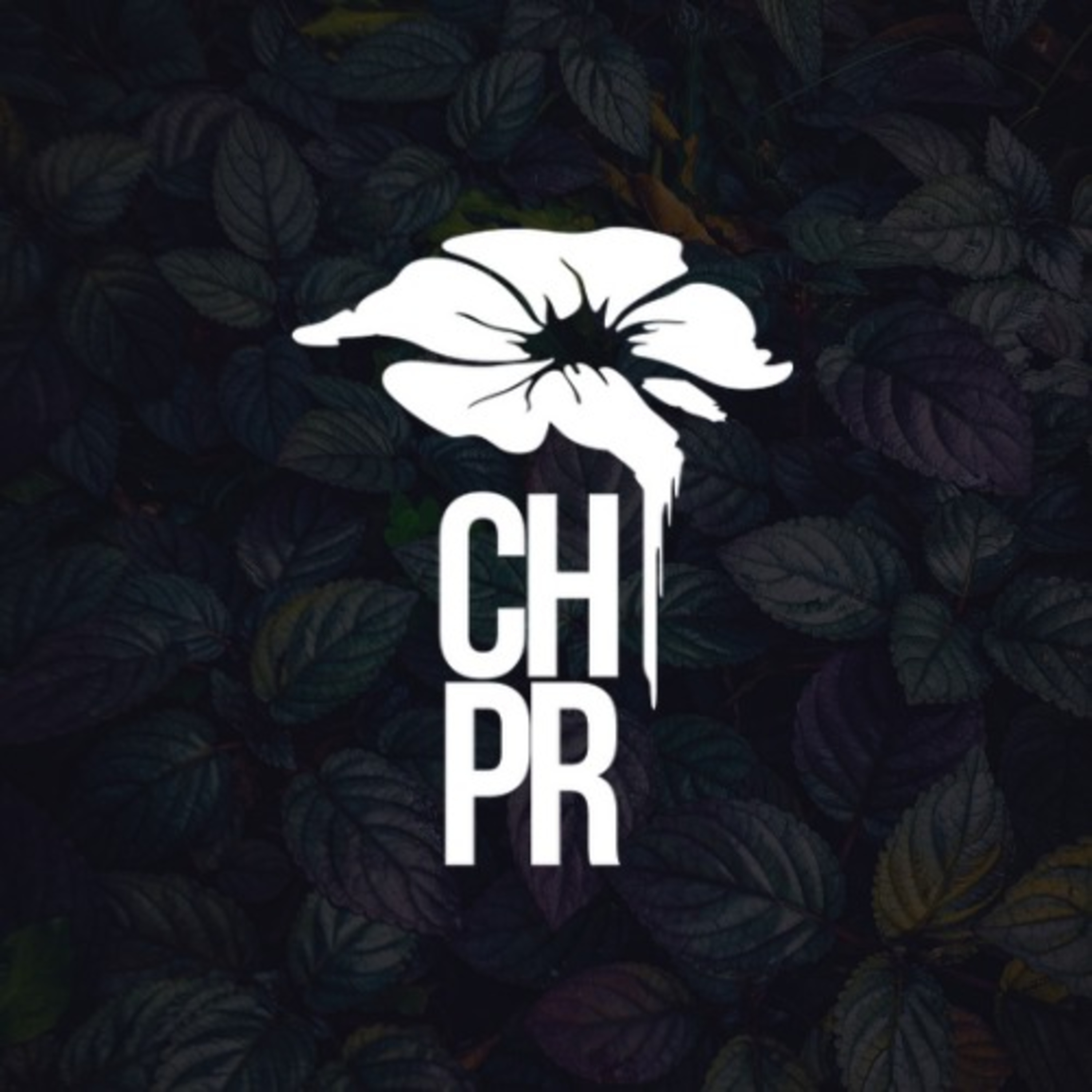 Dosis de poesía diaria