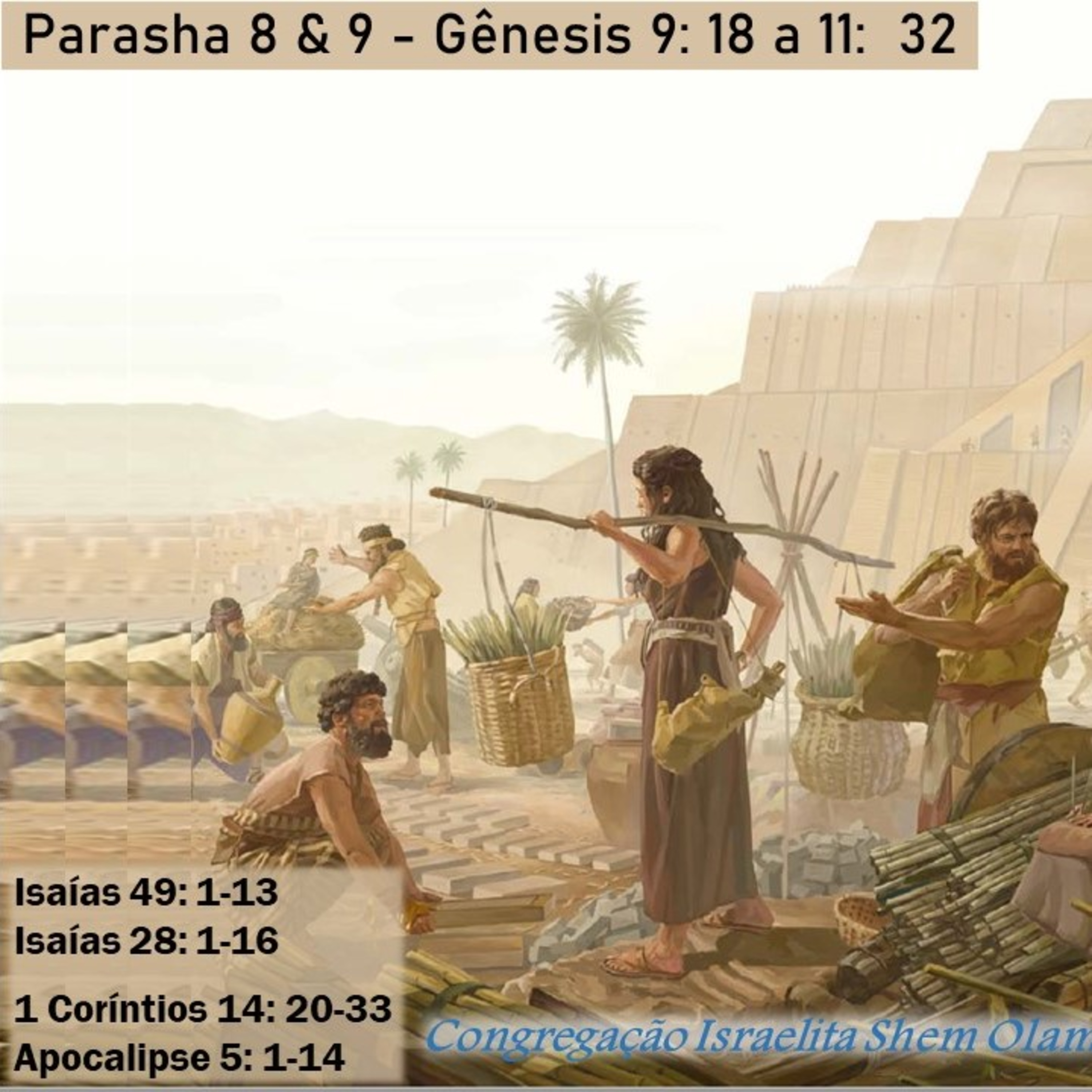 Parashá 8 & 9 - Gênesis 9:18 a 11:32  episode artwork