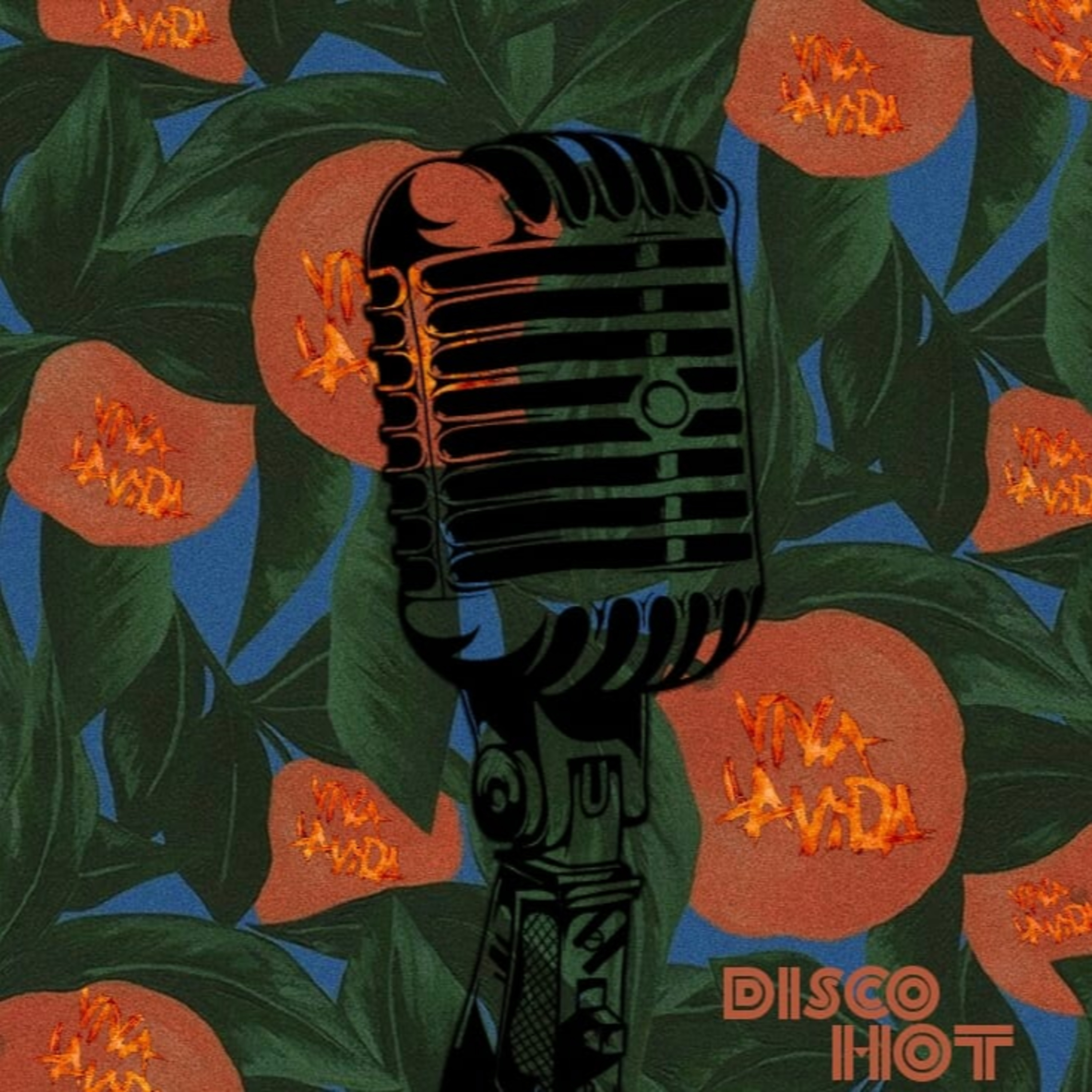 Discohot